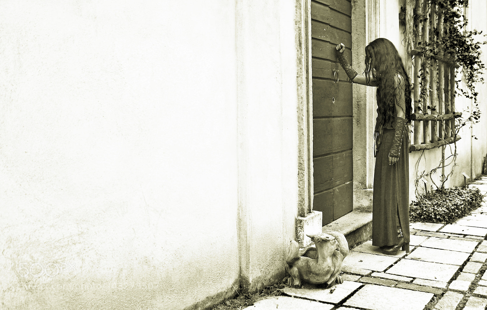 Nikon D700 sample photo. Edgar allan poe's story...digital photography