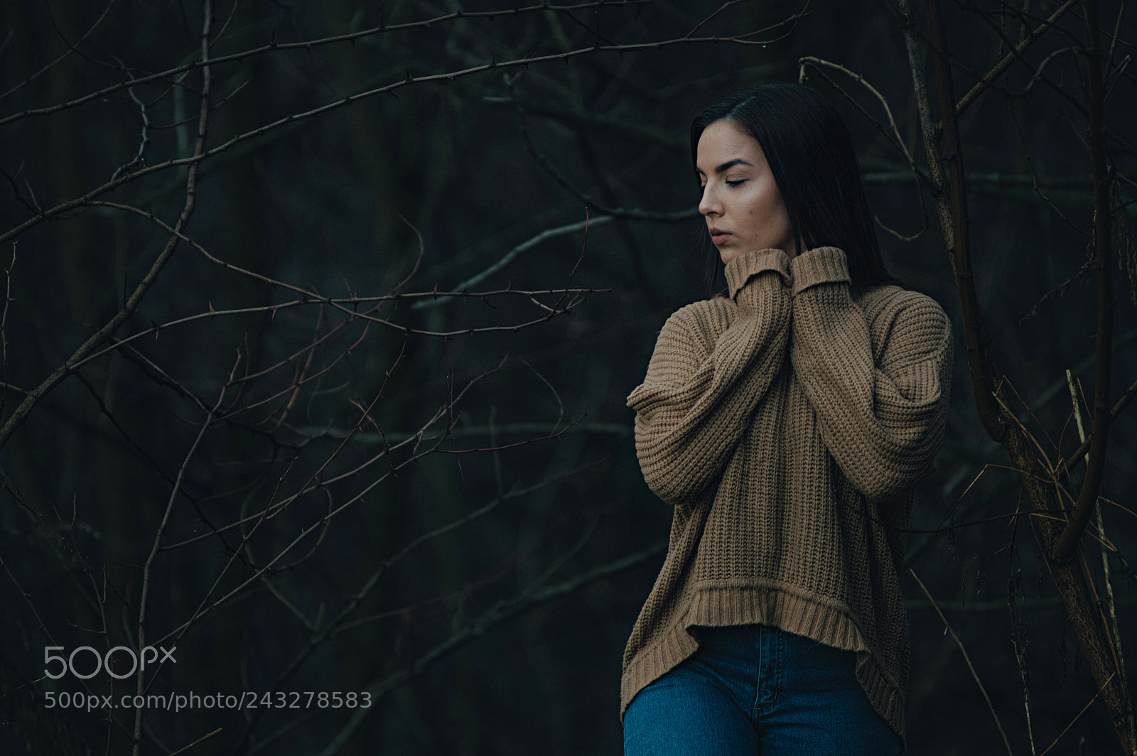 Nikon D3200 sample photo. Winter mood photography