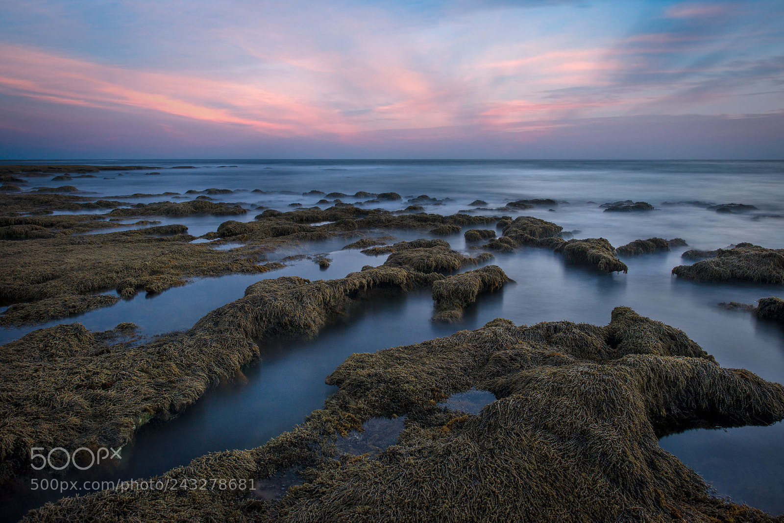 Nikon D800 sample photo. Watching the sunset on photography