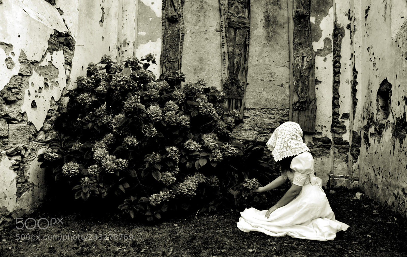 Nikon D700 sample photo. Edgar allan poe's story...digital photography
