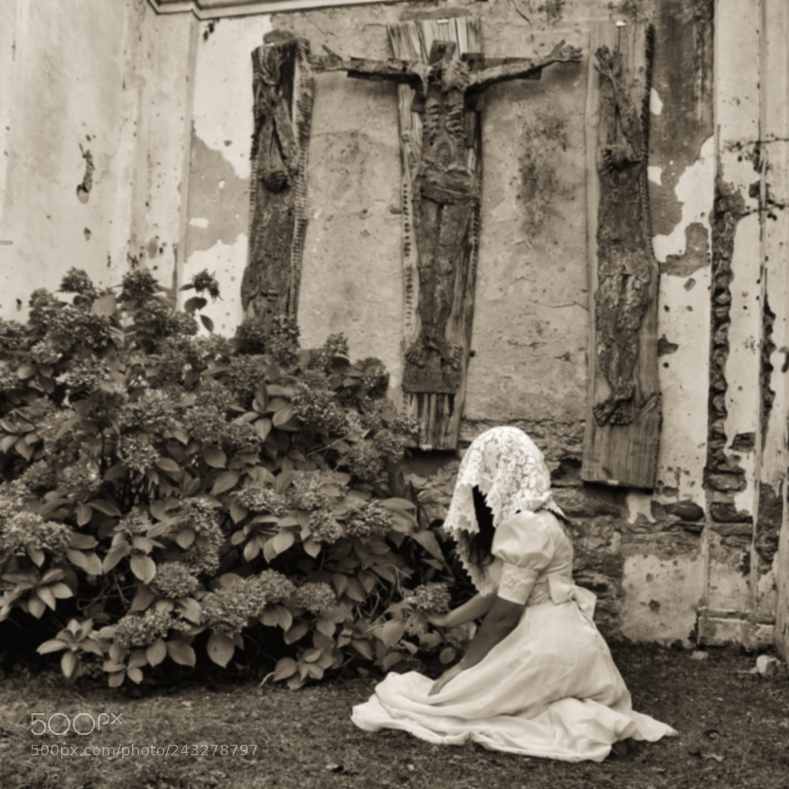 Nikon D700 sample photo. Edgar allan poe's story...digital photography