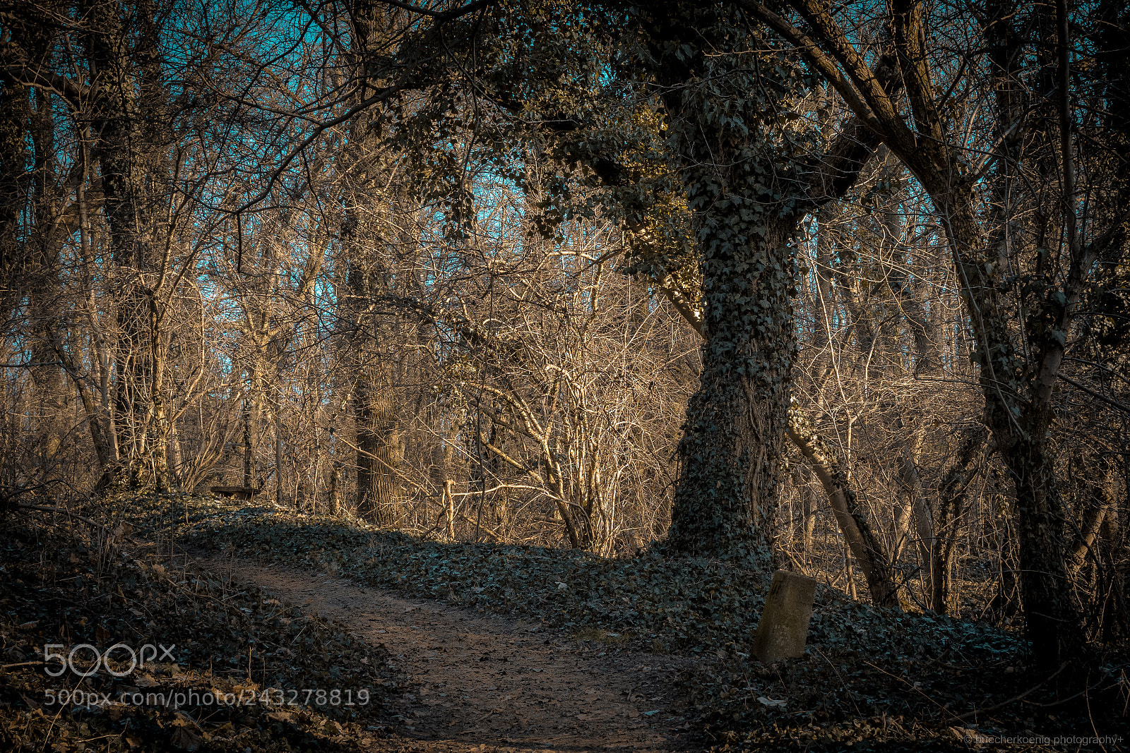 Nikon D7200 sample photo. Petersberg photography