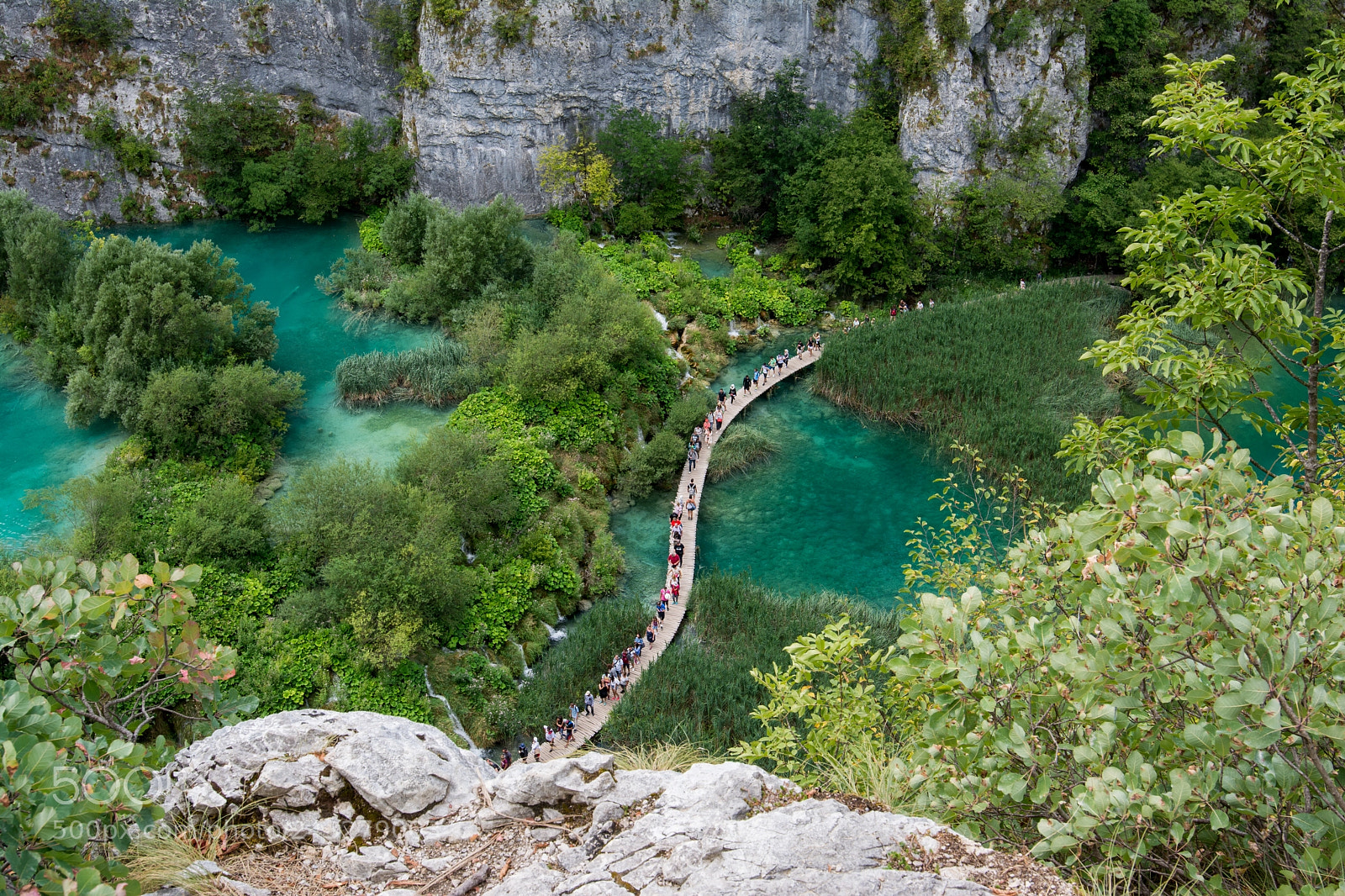 Nikon D7100 sample photo. Path photography