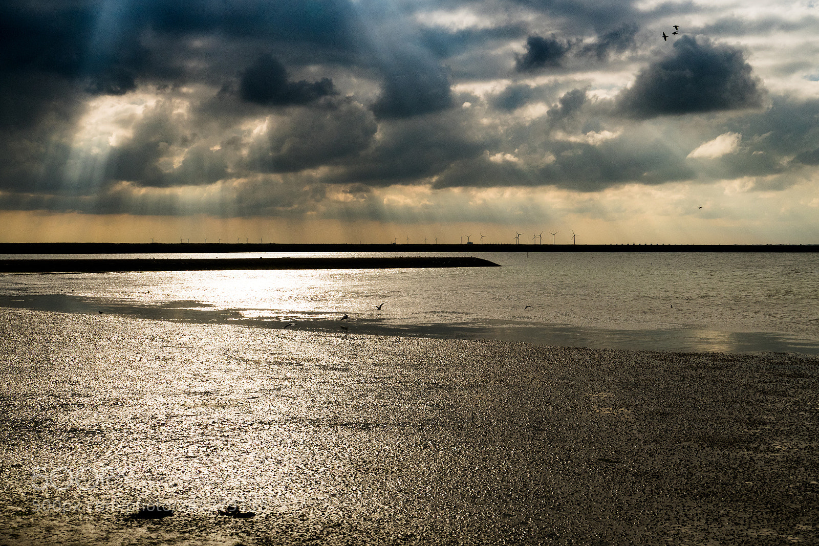 Panasonic Lumix DMC-FZ1000 sample photo. Oosterschelde netherlands zeeland view photography