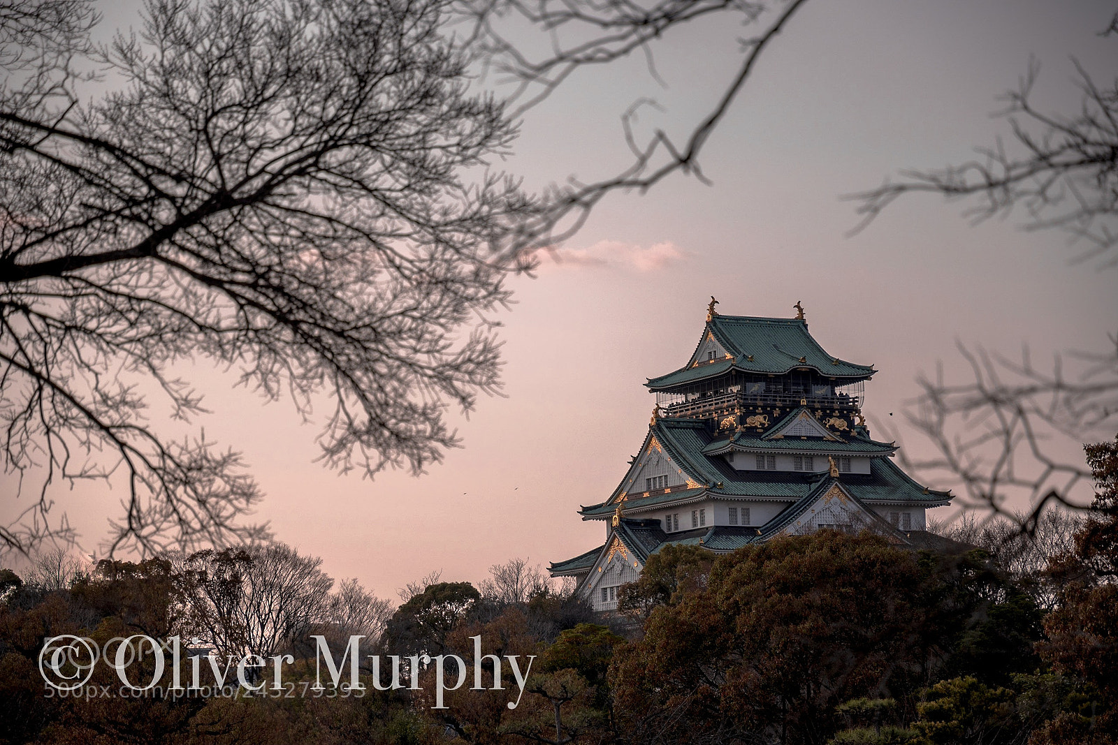 Nikon D500 sample photo. Osaka palace at sunset photography