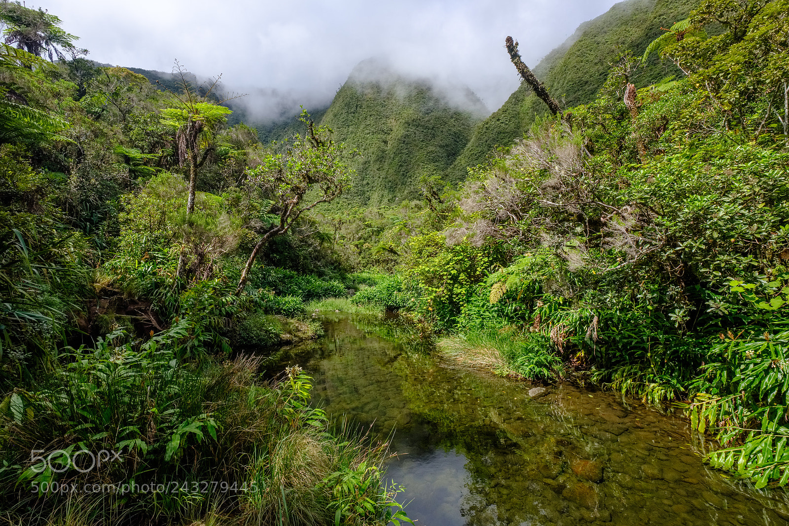 Fujifilm X-T2 sample photo. Bassin des hirondelles pond photography