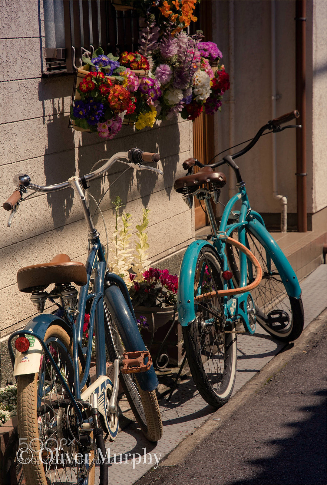 Nikon D500 sample photo. Bicycles photography