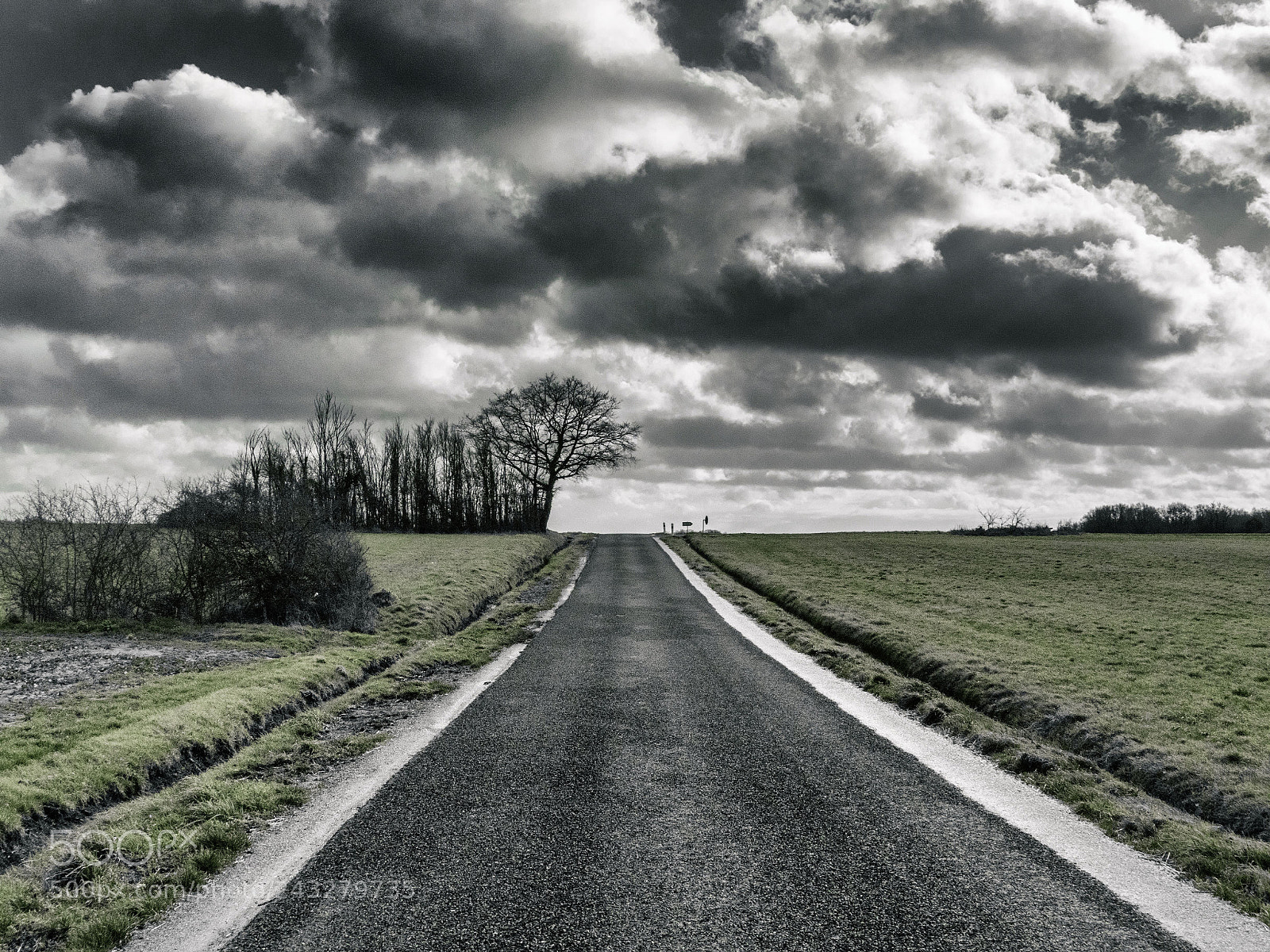 Panasonic Lumix DMC-FZ1000 sample photo. Greenroad photography