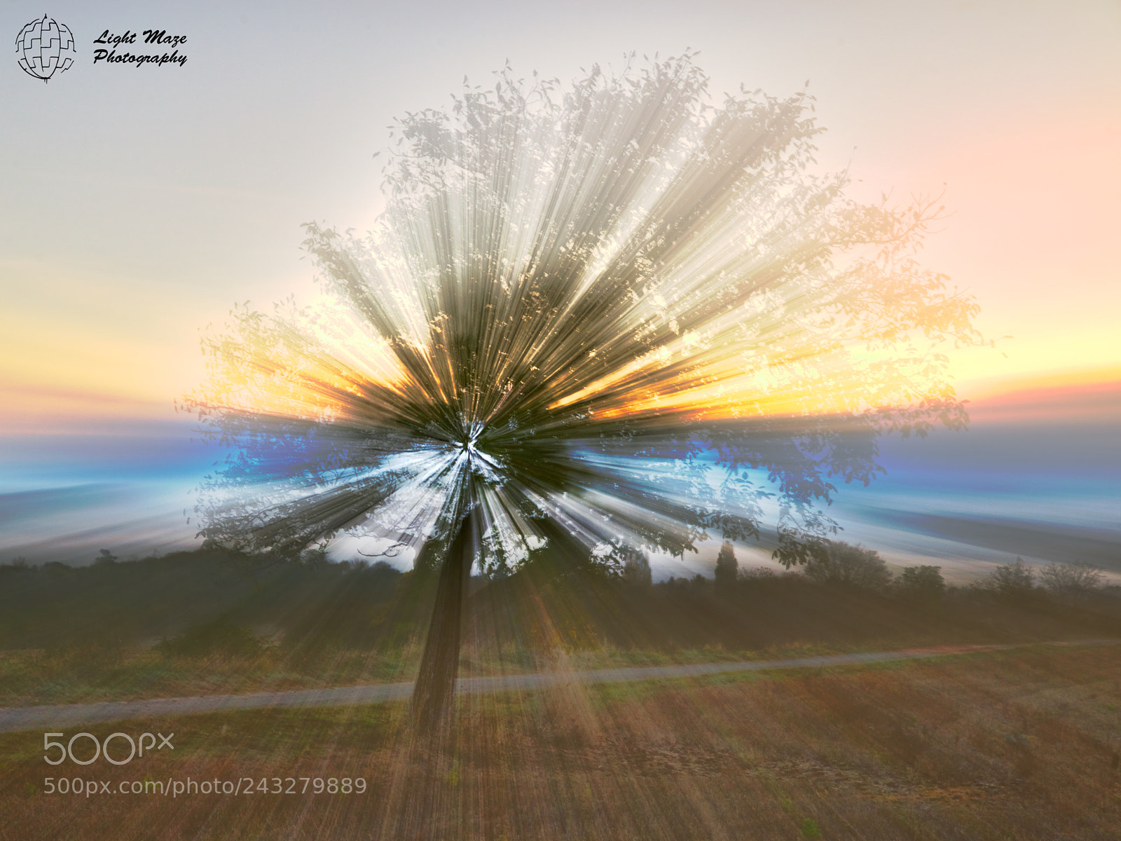 Nikon D800E sample photo. Space tree photography