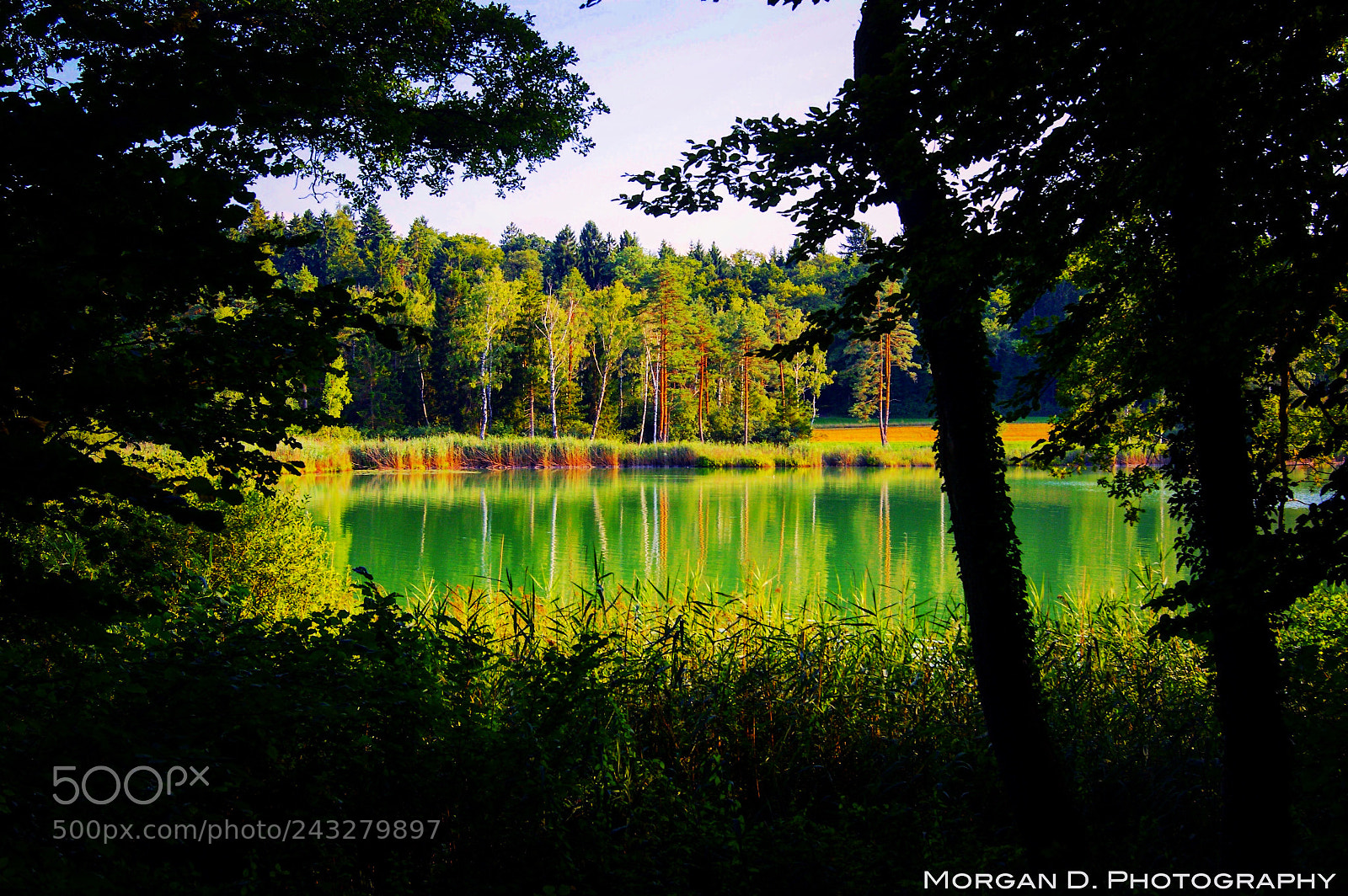 Sony Alpha DSLR-A380 sample photo. Husemersee, zh photography