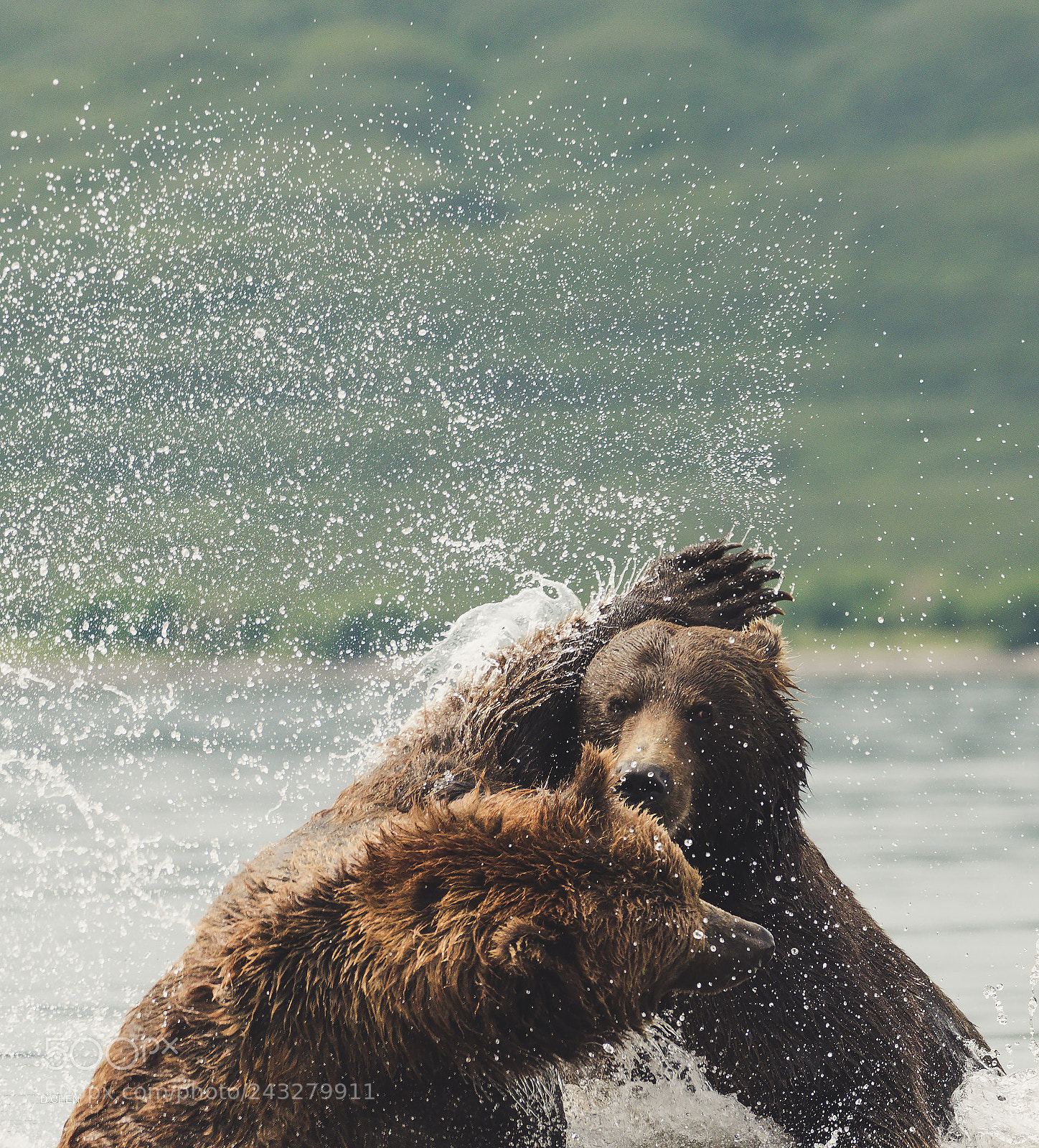 Nikon D810 sample photo. The animal instinct photography