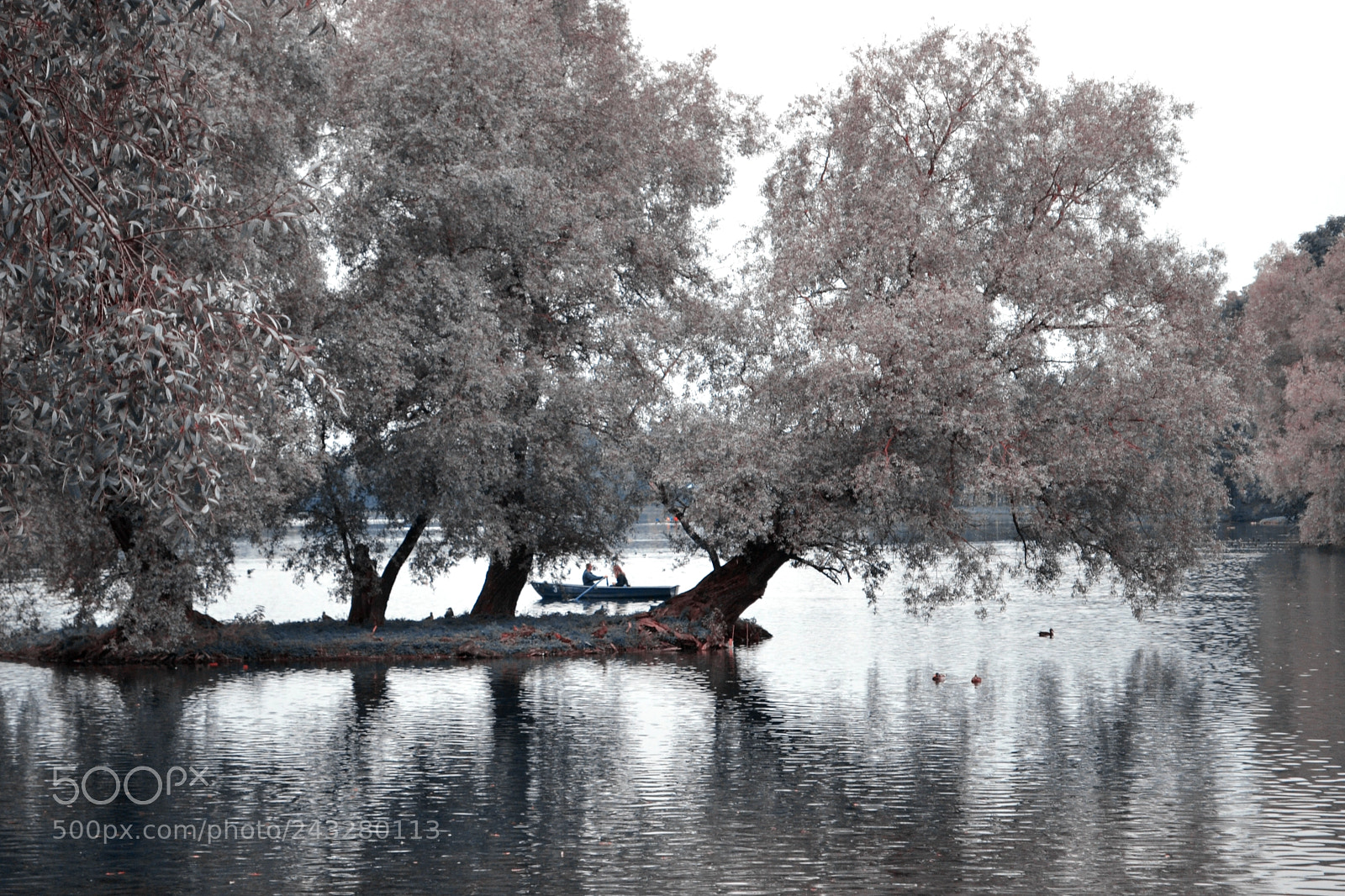 Nikon D3100 sample photo. Gatchina pond photography