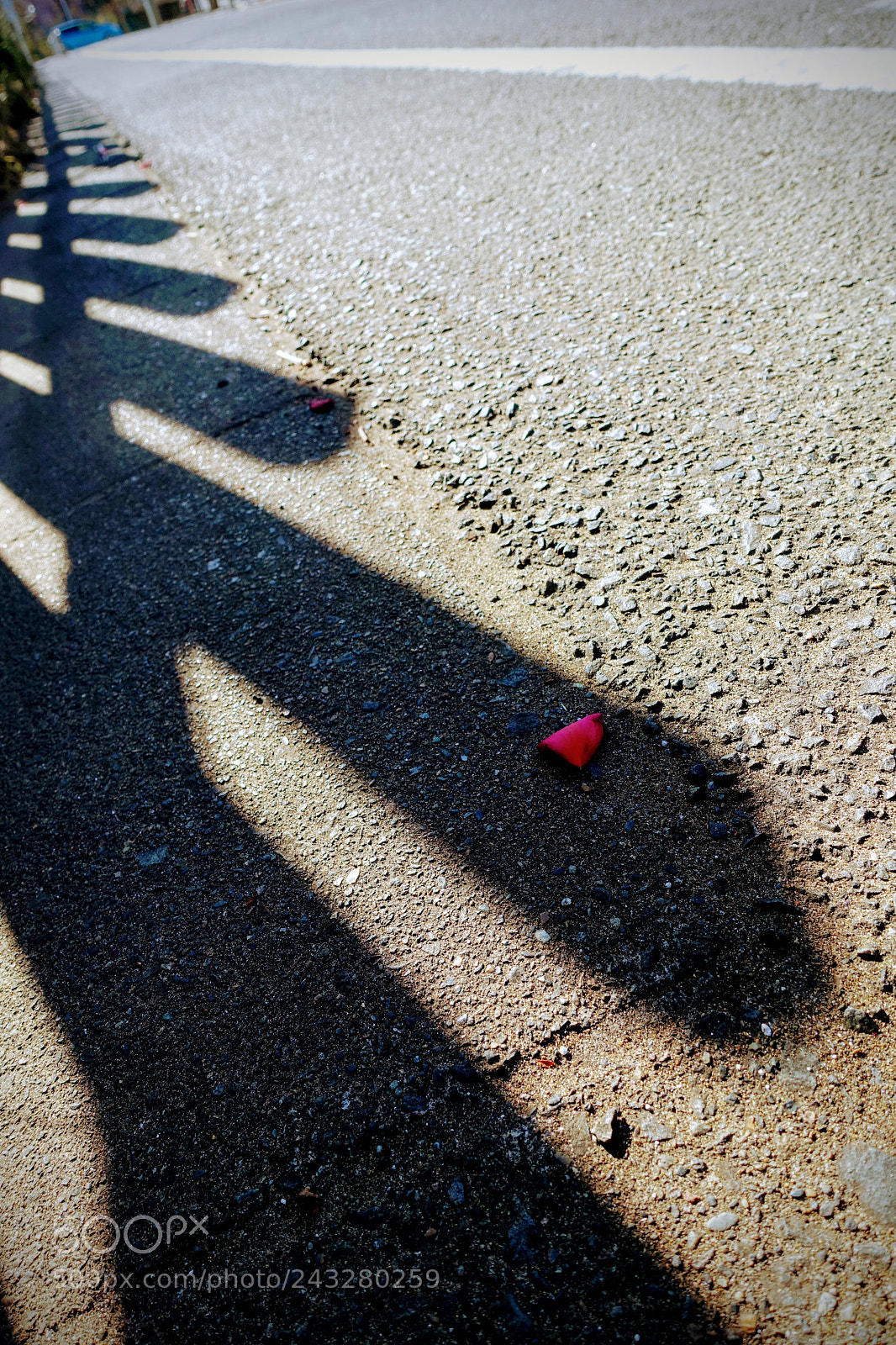 Sony Cyber-shot DSC-RX100 III sample photo. Roadside photography