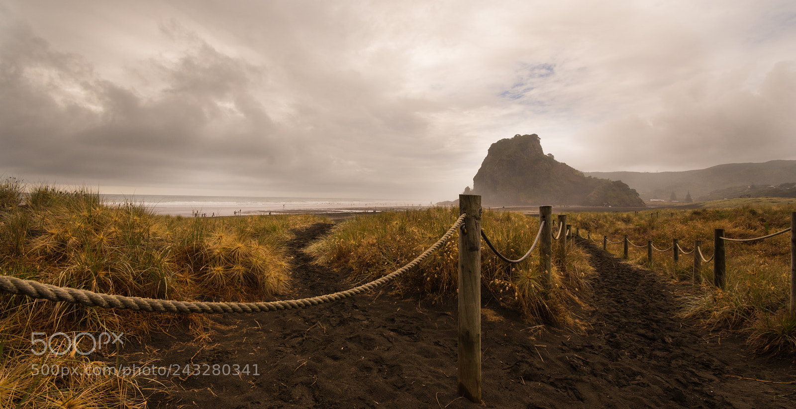 Nikon D7200 sample photo. Piha photography