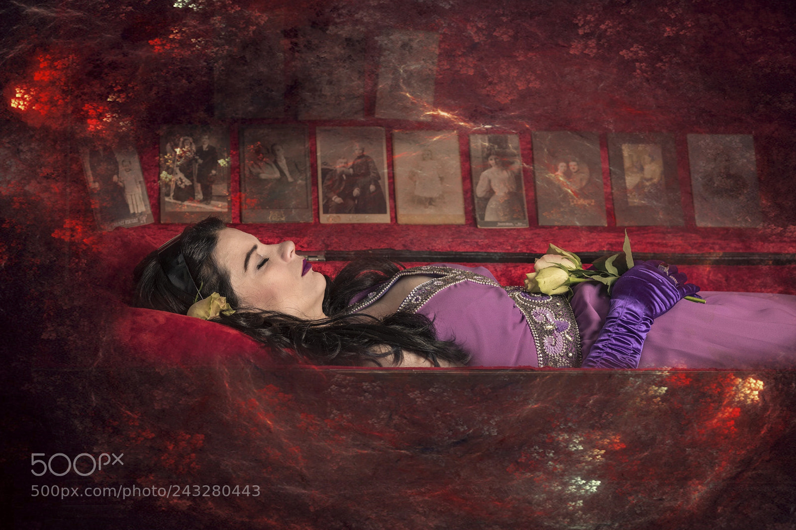 Nikon D850 sample photo. Memento mori photography