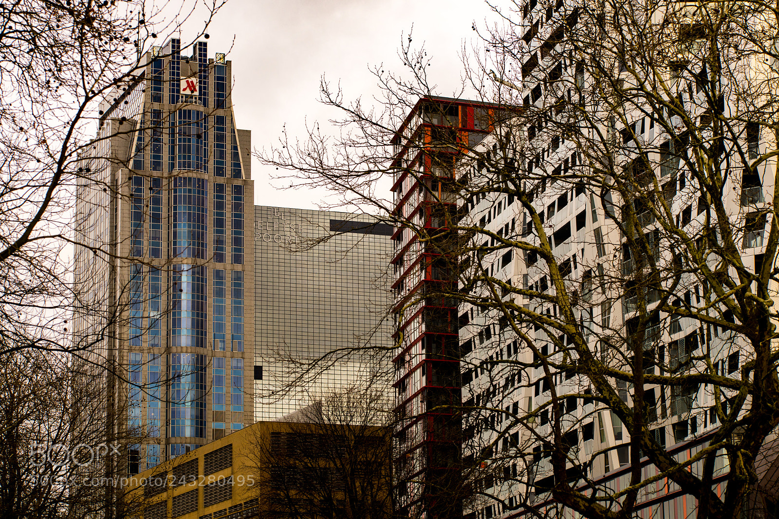 Sony a7 sample photo. Marriot photography