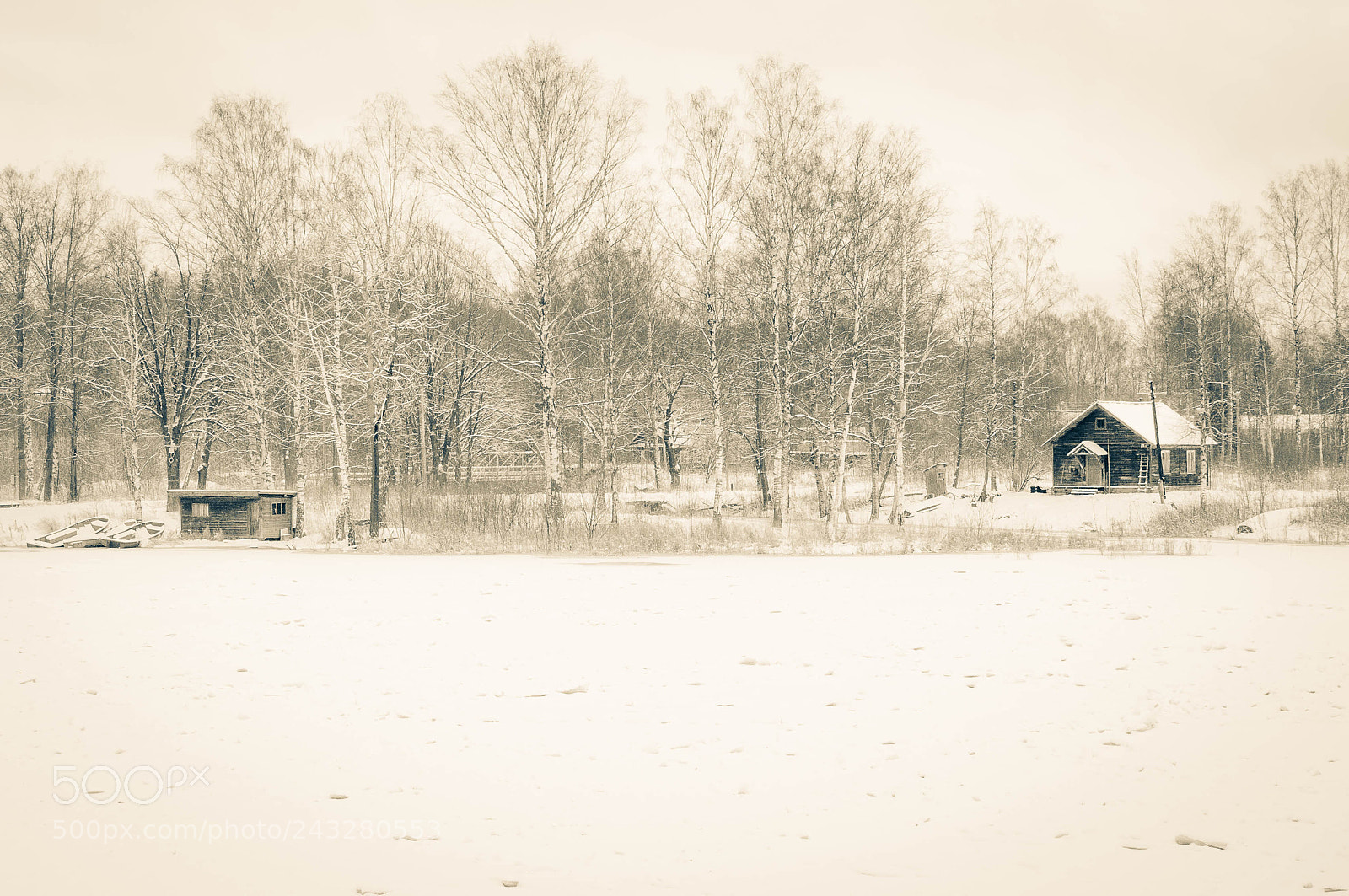 Nikon D5000 sample photo. * photography