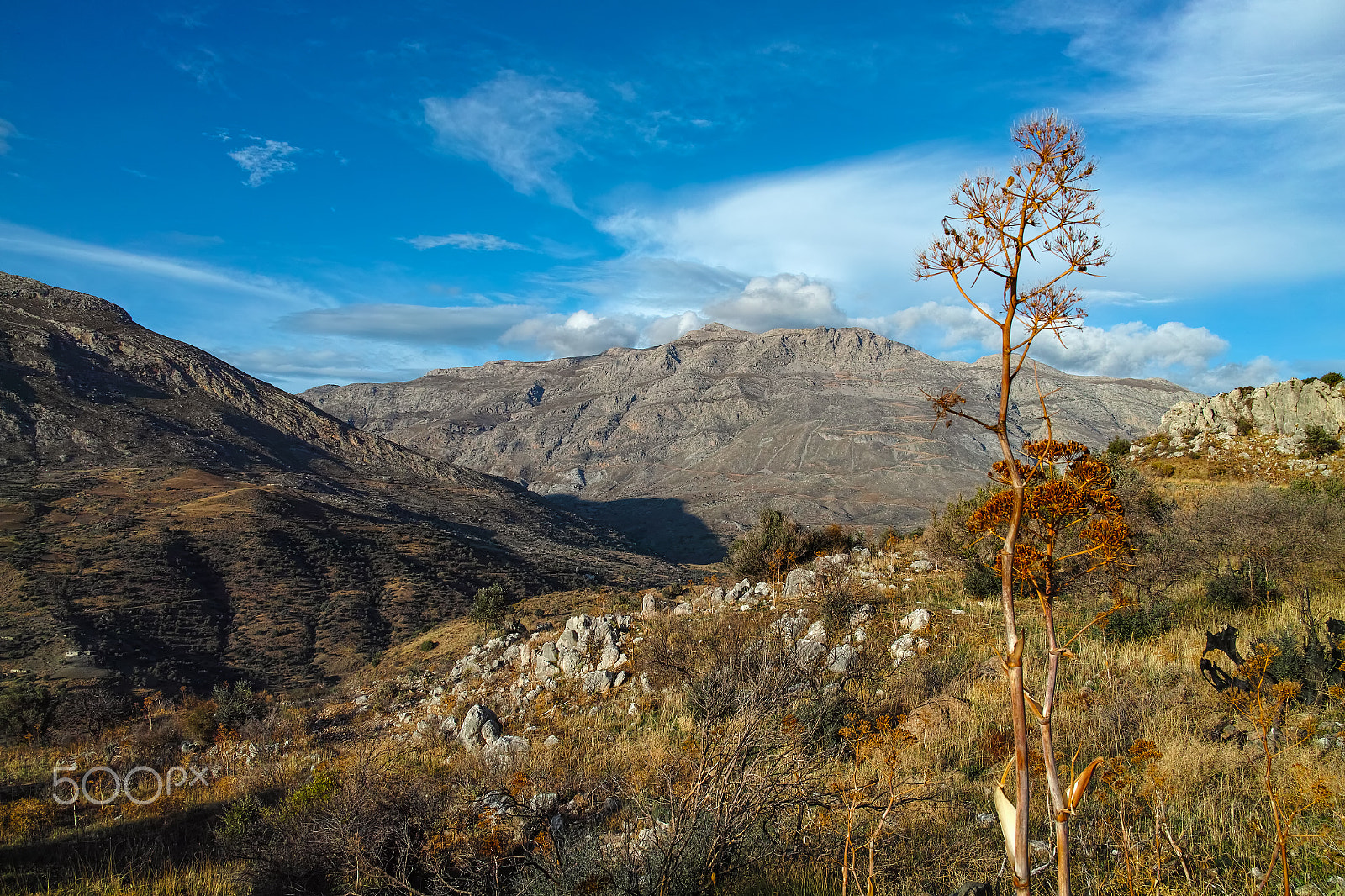 Sigma DP1 Merrill sample photo. Agios pavlos photography