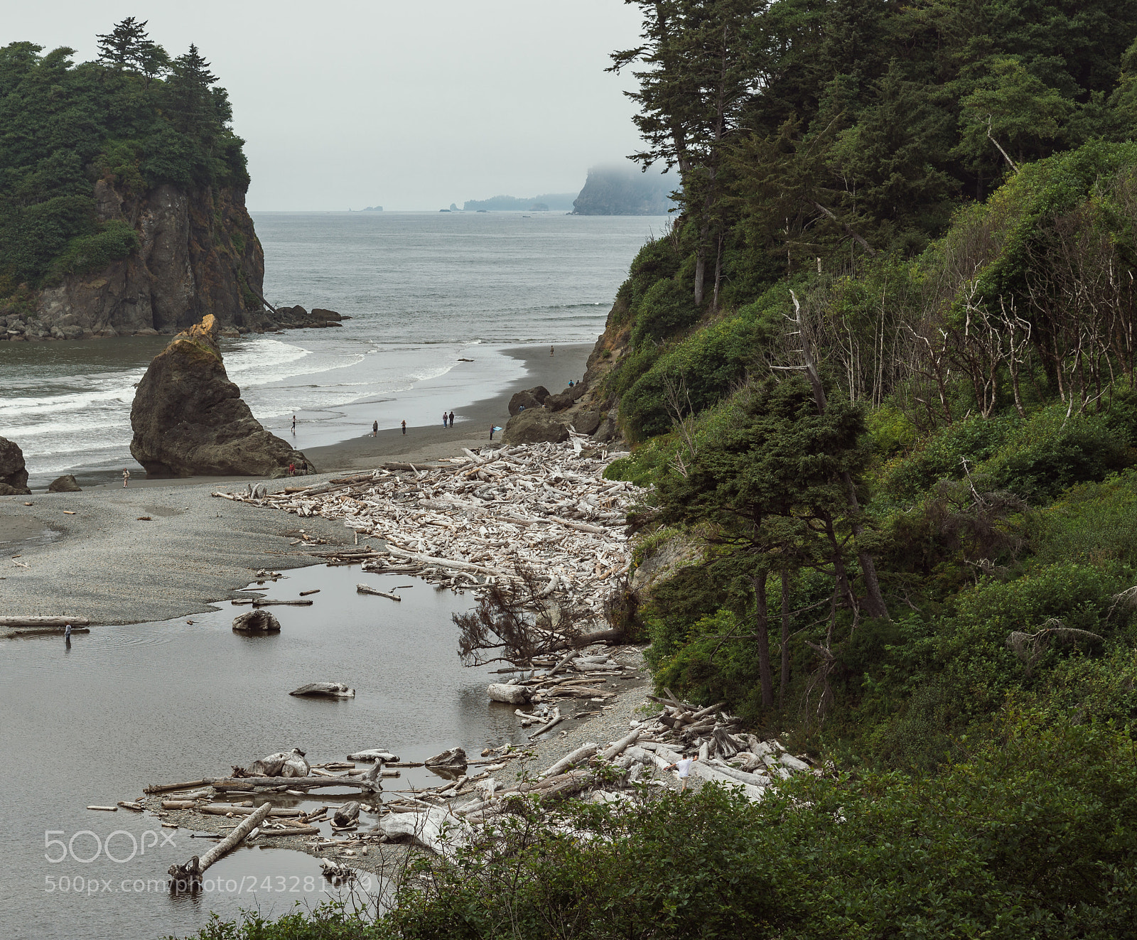 Nikon D600 sample photo. Ruby beach from above photography