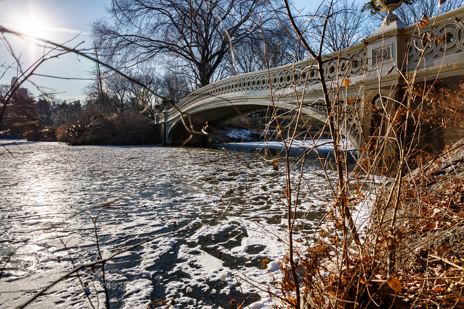 Canon EOS 5DS sample photo. Bow bridge, central park photography
