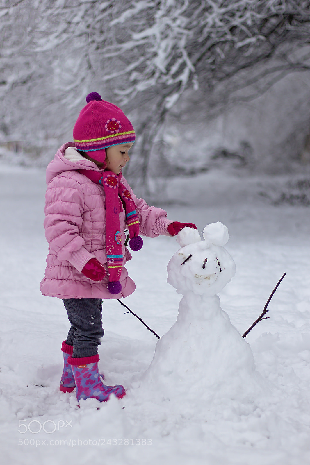 Canon EOS 60D sample photo. Winter photography