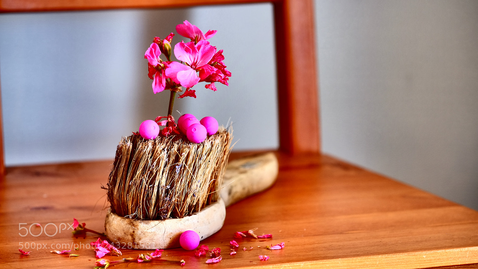 Fujifilm X-T1 sample photo. Flowers... photography