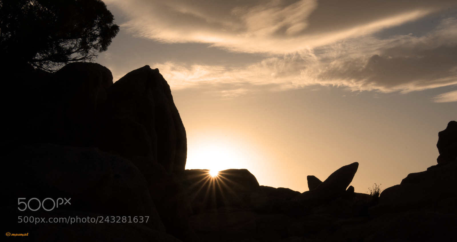 Nikon D7200 sample photo. Star silhouette photography