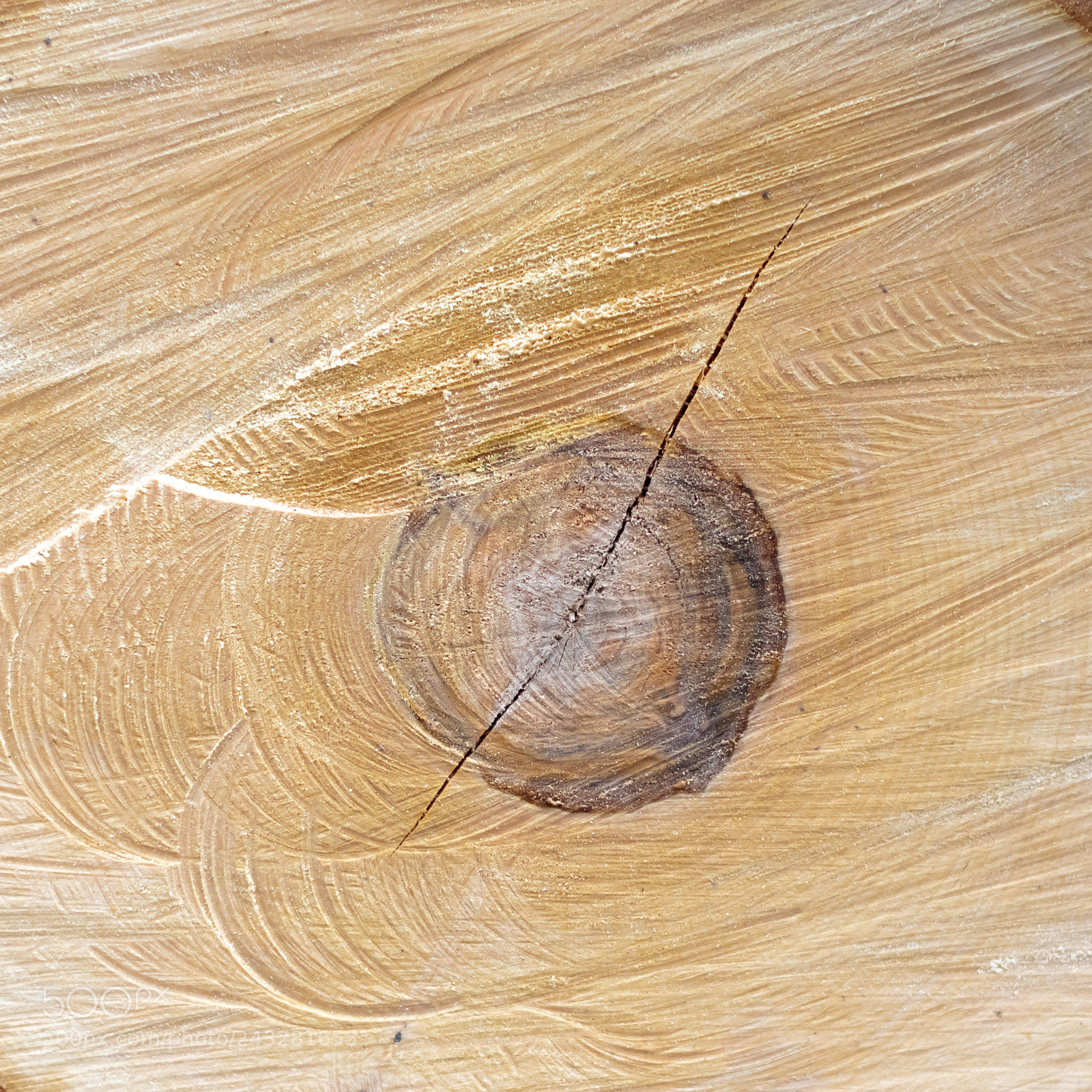 Canon EOS 5DS sample photo. Wood photography