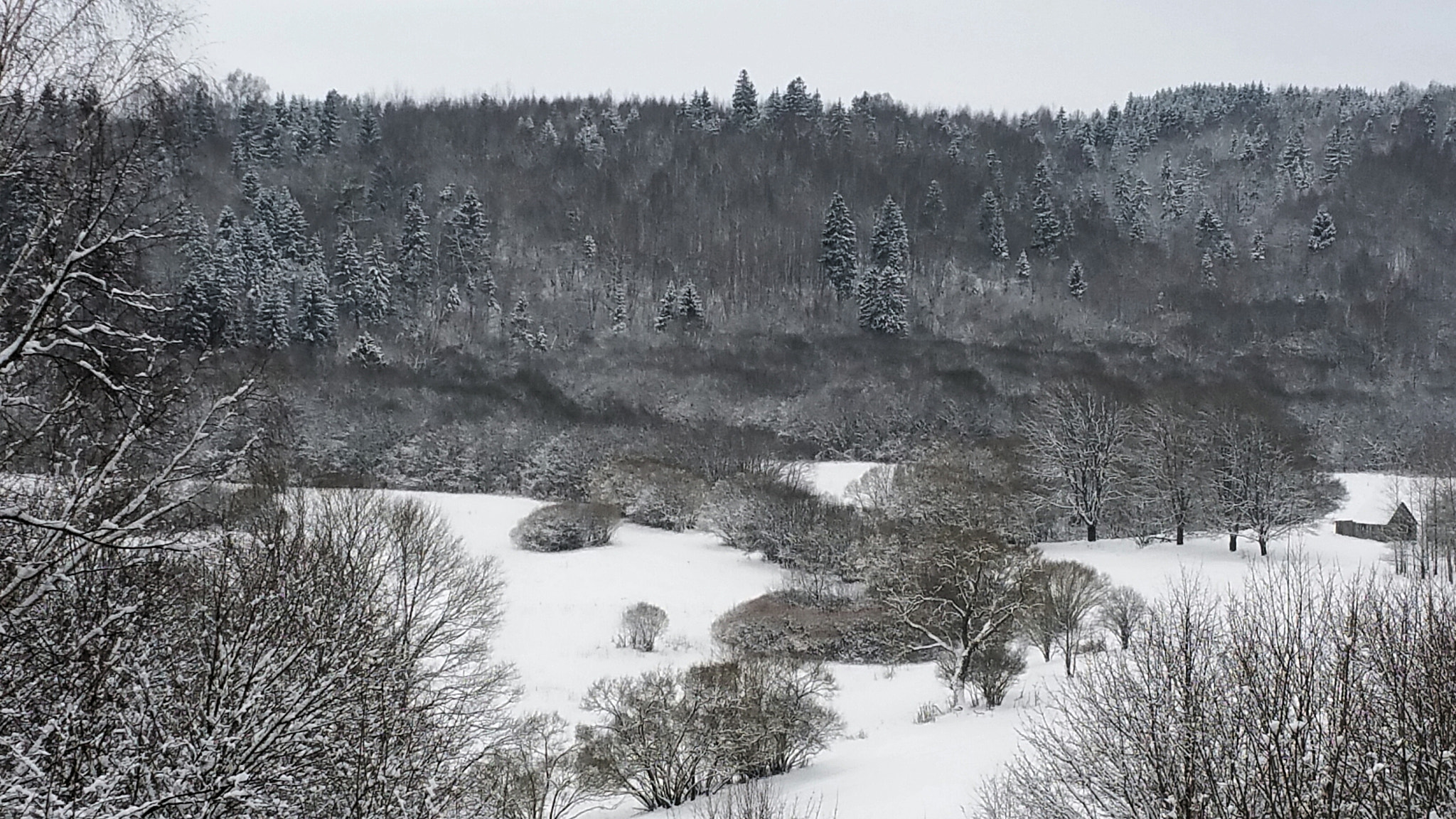 Samsung Galaxy S5 LTE-A sample photo. Winter photography