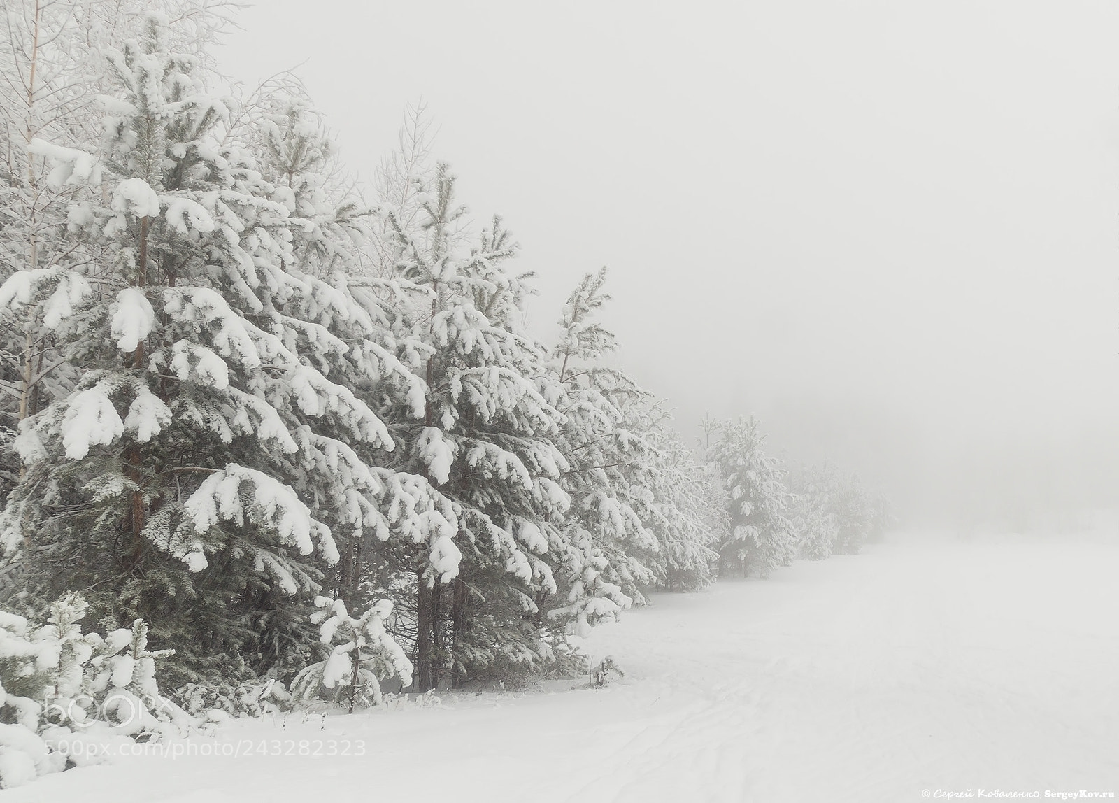 Sony SLT-A58 sample photo. Beautiful winter in the photography