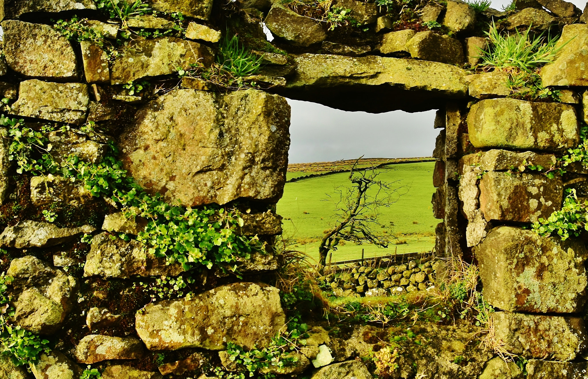 Nikon D5500 sample photo. The window frame photography