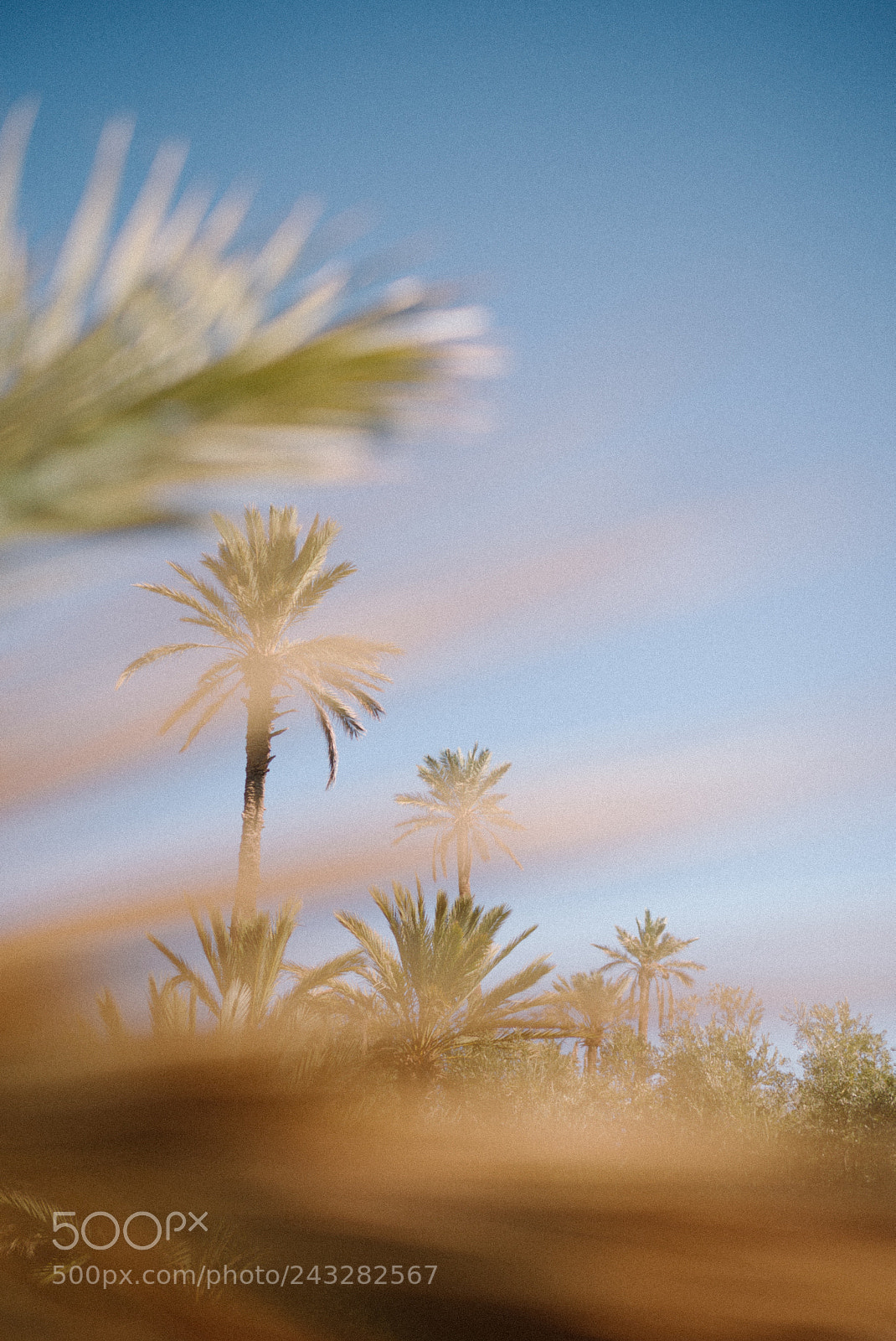 Leica M (Typ 240) sample photo. Morocco, decembre 2017 photography