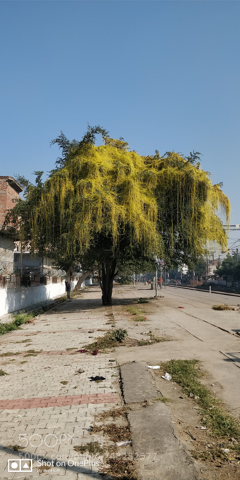 OnePlus 5T sample photo. Untitled photography