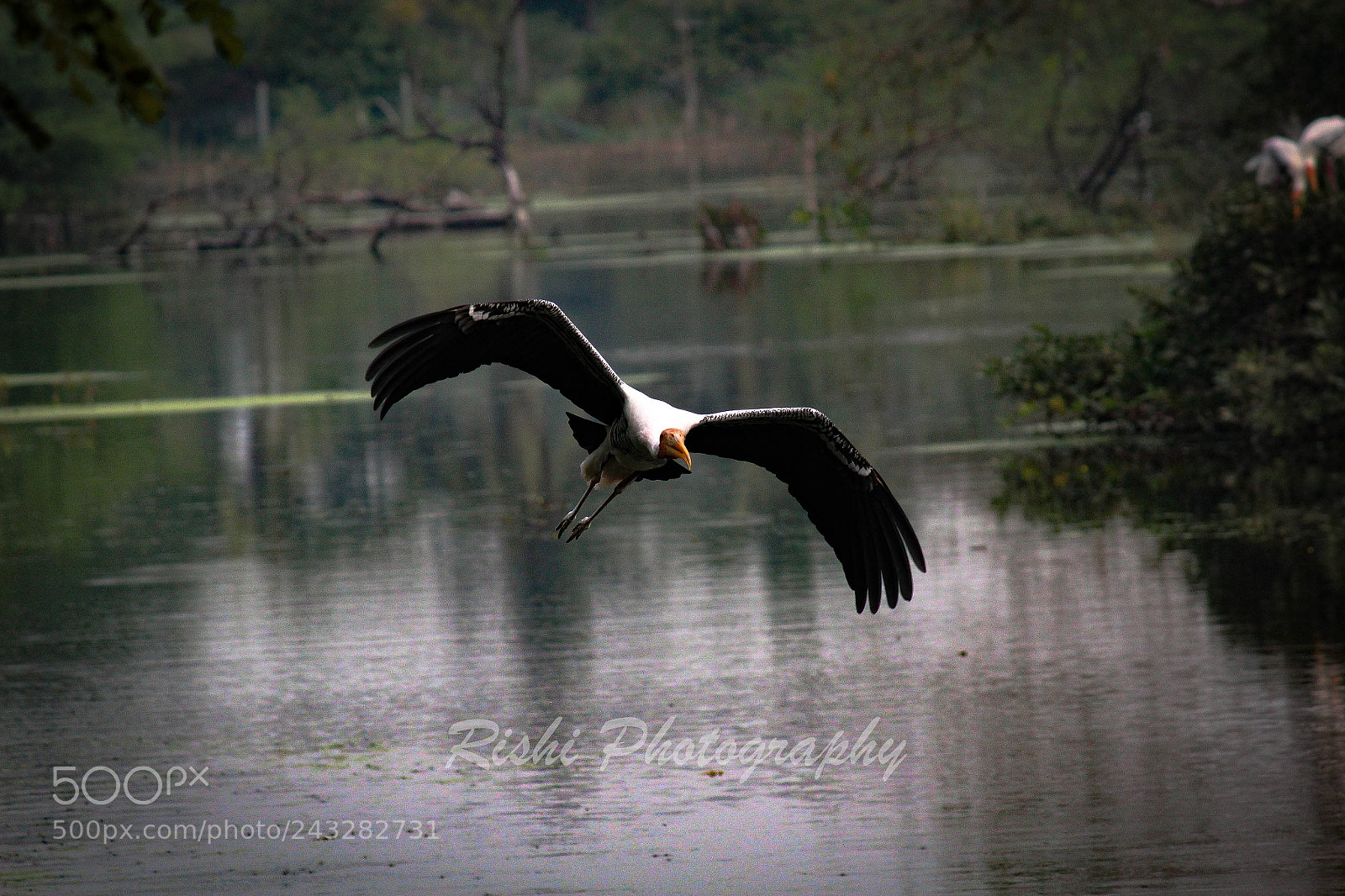 Canon EOS 1200D (EOS Rebel T5 / EOS Kiss X70 / EOS Hi) sample photo. Time to fly photography