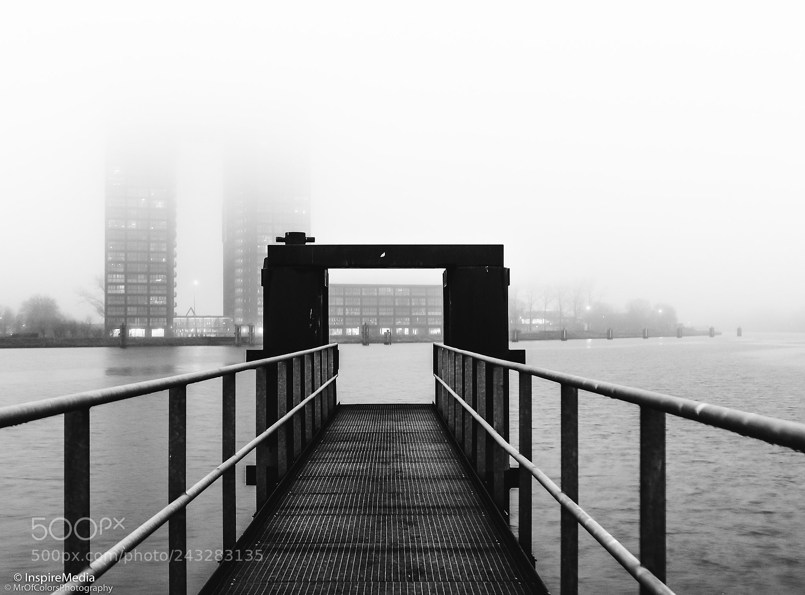 Olympus OM-D E-M5 II sample photo. Tasma in the mist photography