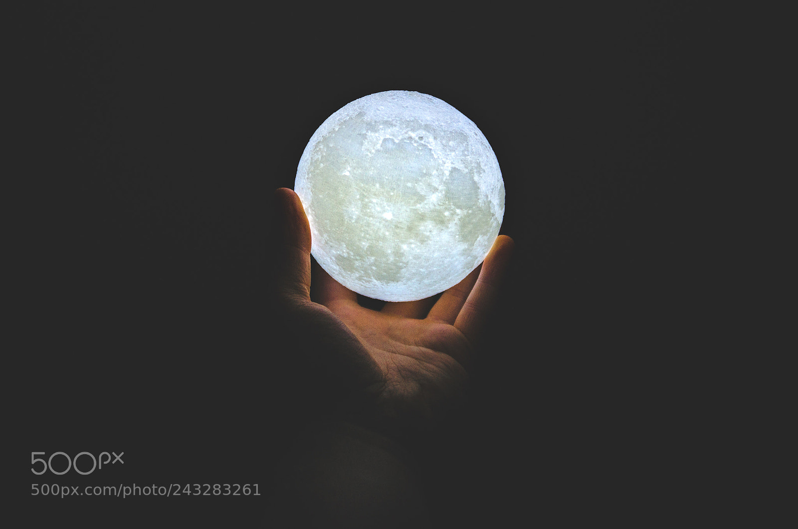 Nikon D5100 sample photo. Shout at the moon photography