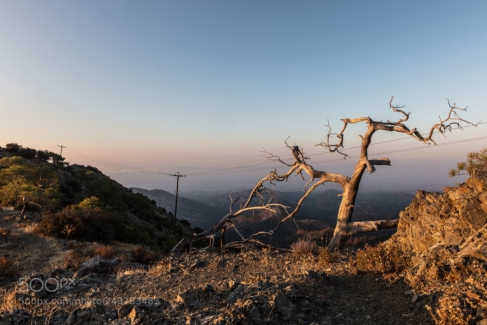 Canon EOS 5DS R sample photo. Spines photography