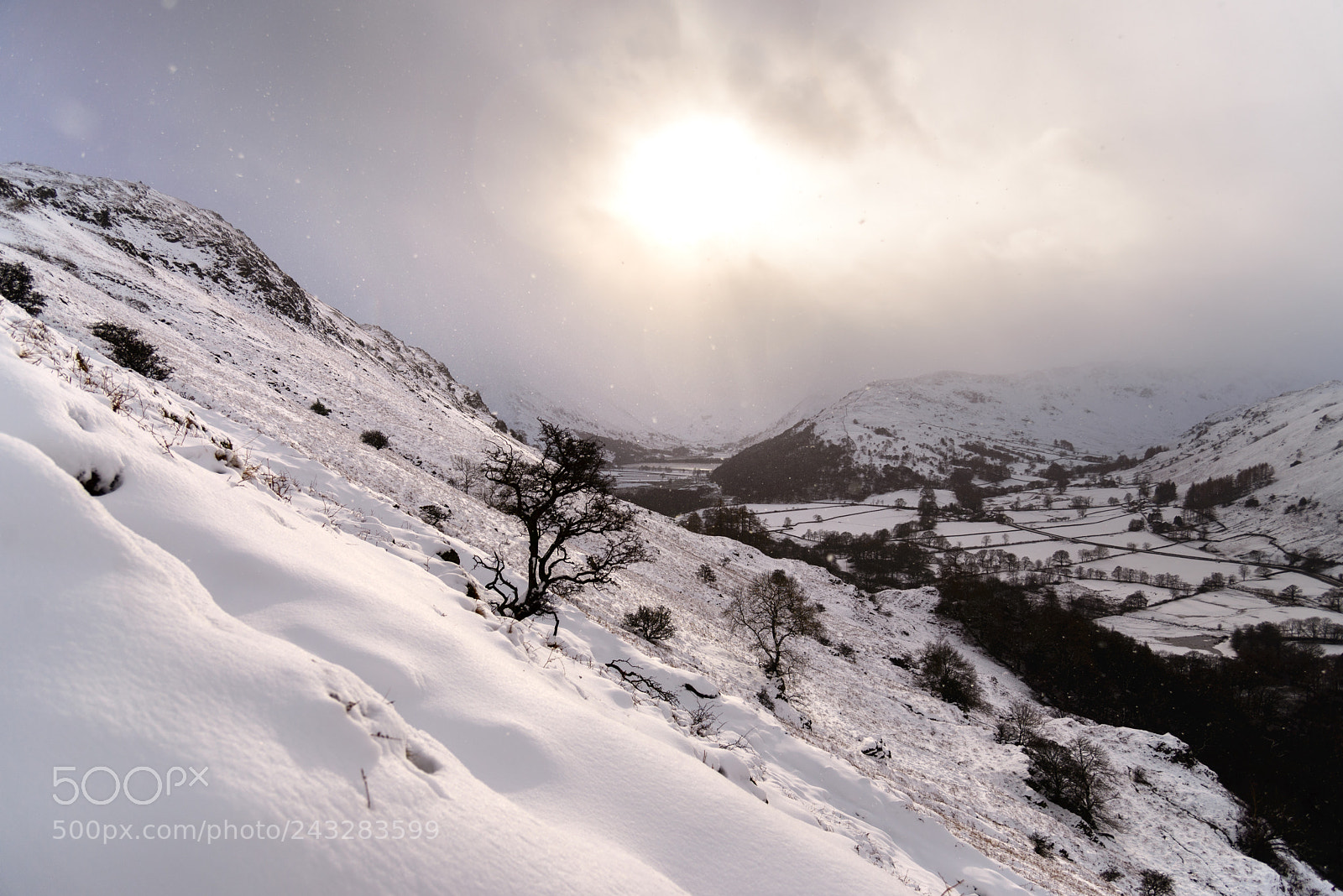 Nikon D610 sample photo. Snowstorm photography