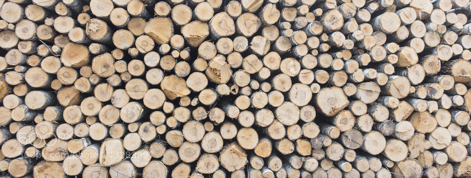 Canon EOS 5DS sample photo. Wood photography