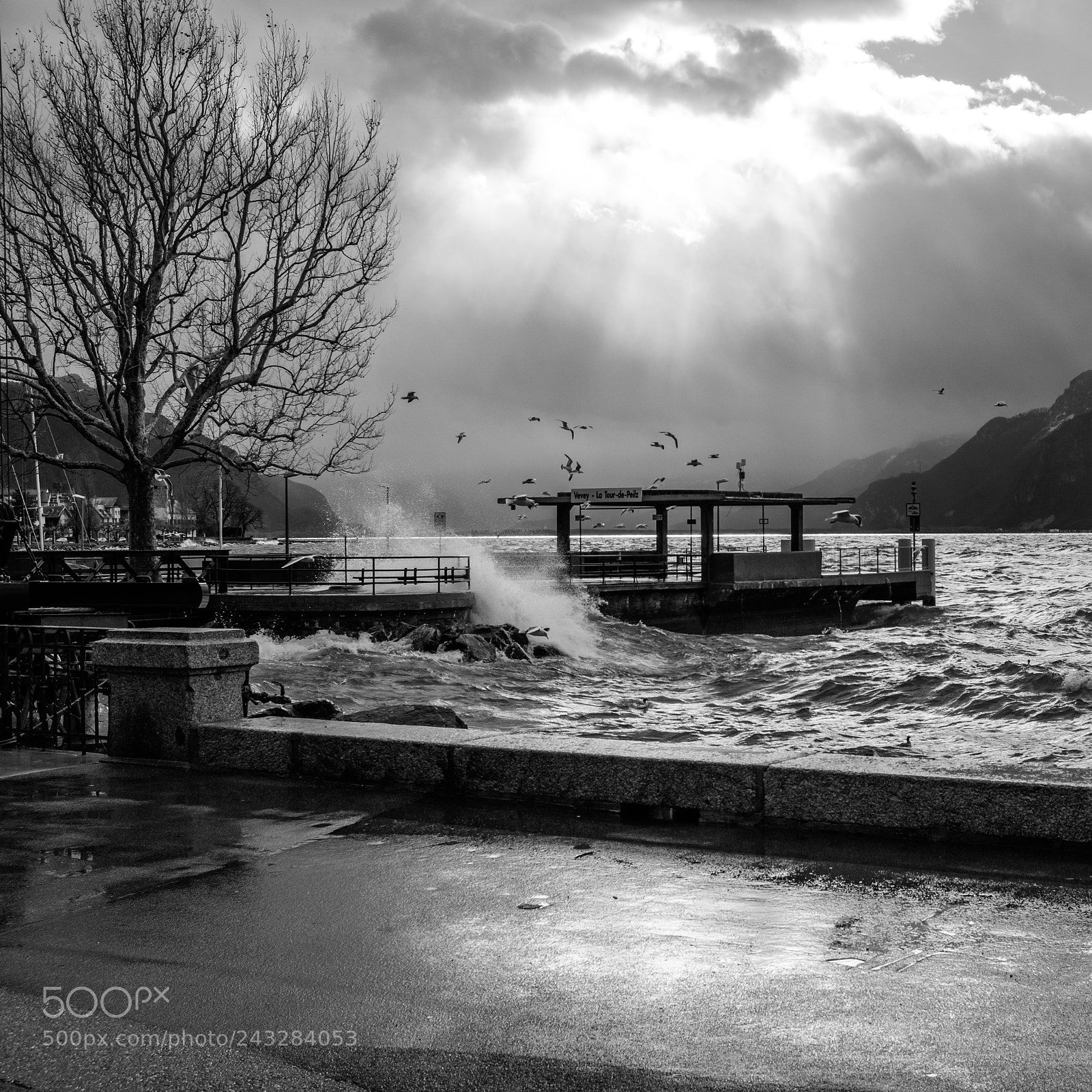 Fujifilm X100F sample photo. Port de vevey-la tour-de-peilz photography