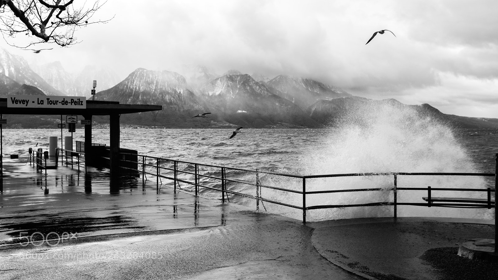Fujifilm X100F sample photo. Port de vevey-la tour-de-peilz photography