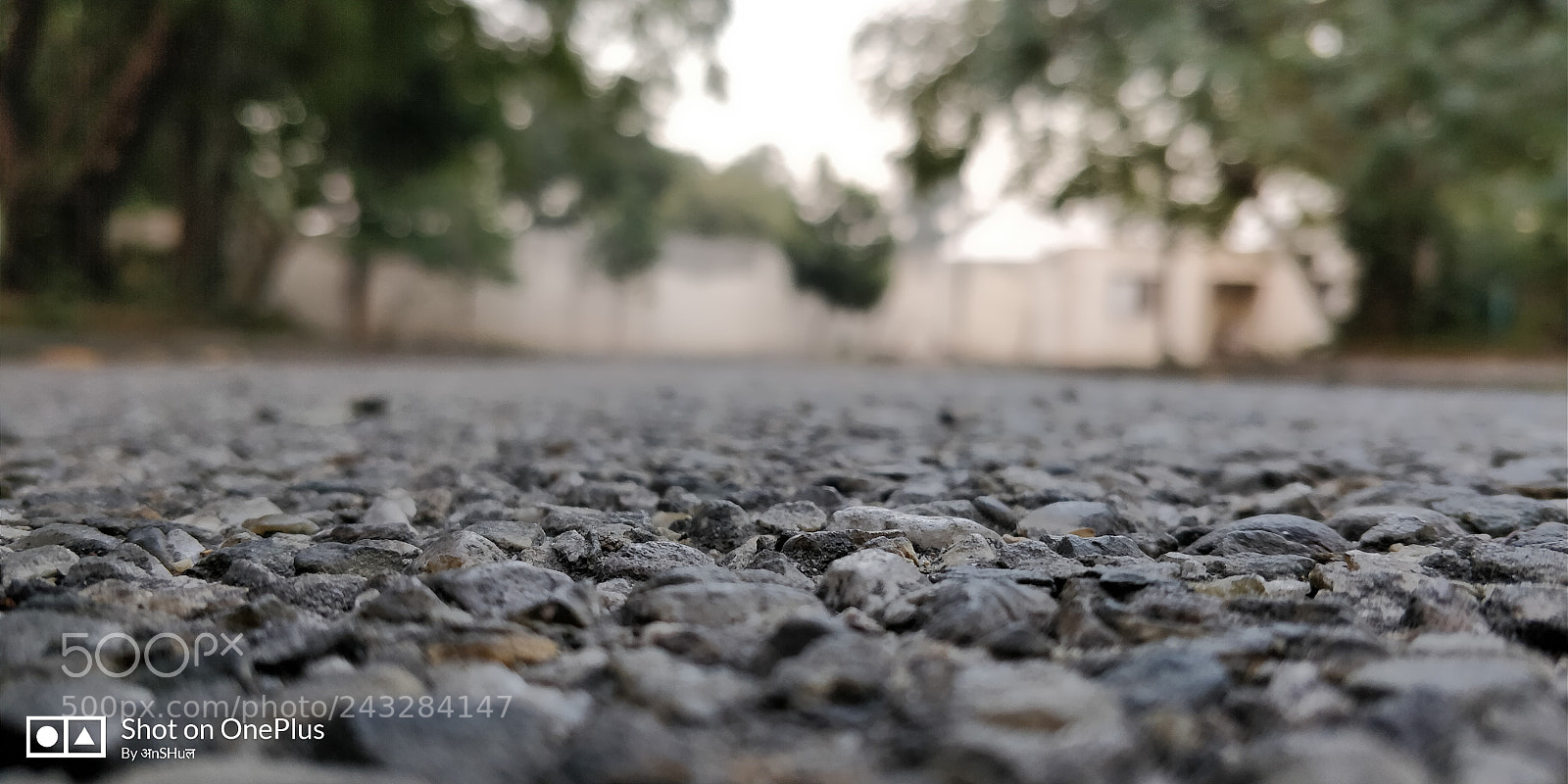 OnePlus 5T sample photo. Untitled photography