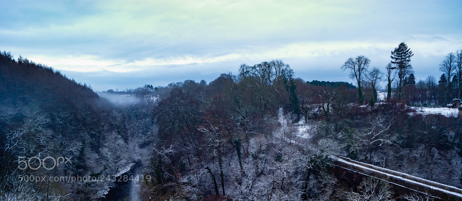 Sony SLT-A65 (SLT-A65V) sample photo. Untitled photography