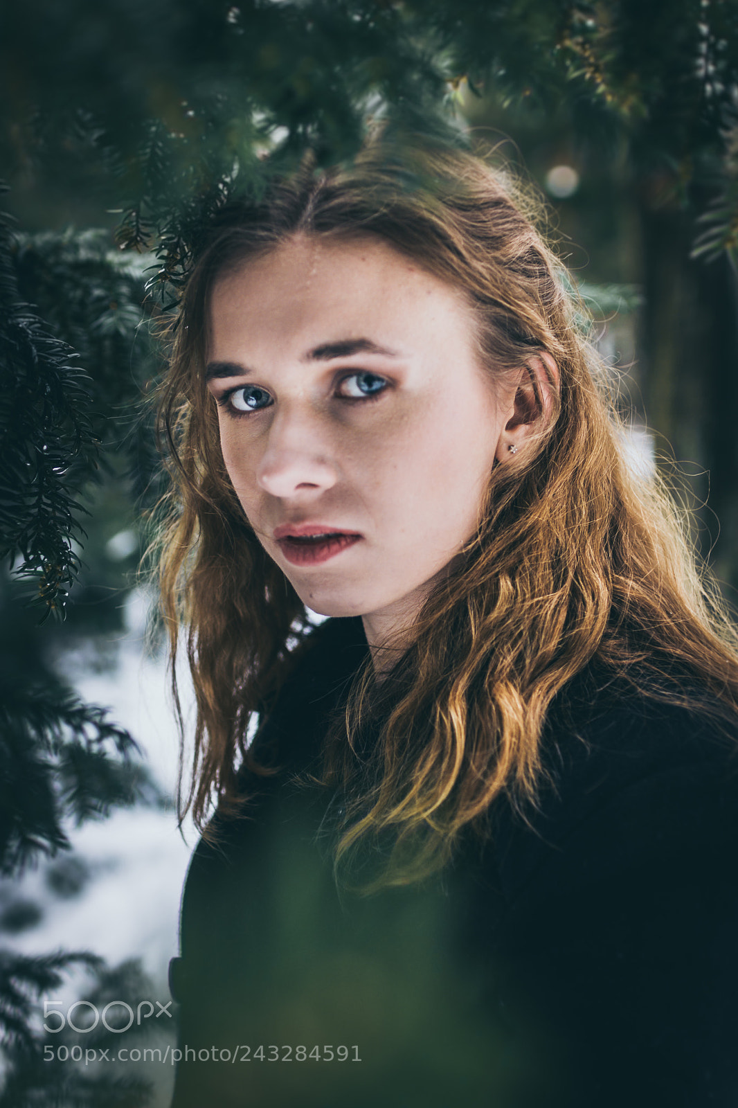 Nikon D7200 sample photo. Forest's mystery photography