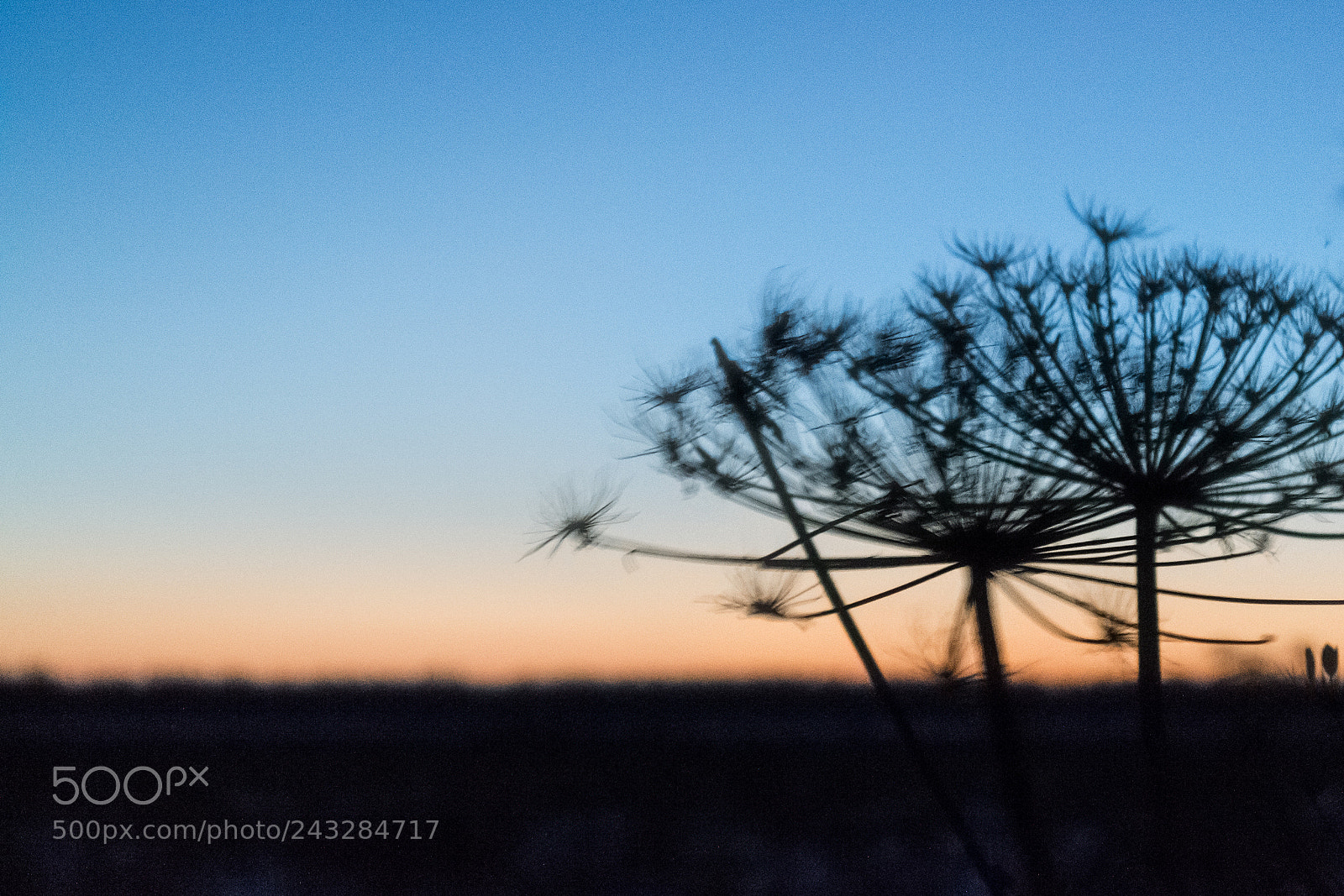 Nikon D3100 sample photo. ...sunset air. photography