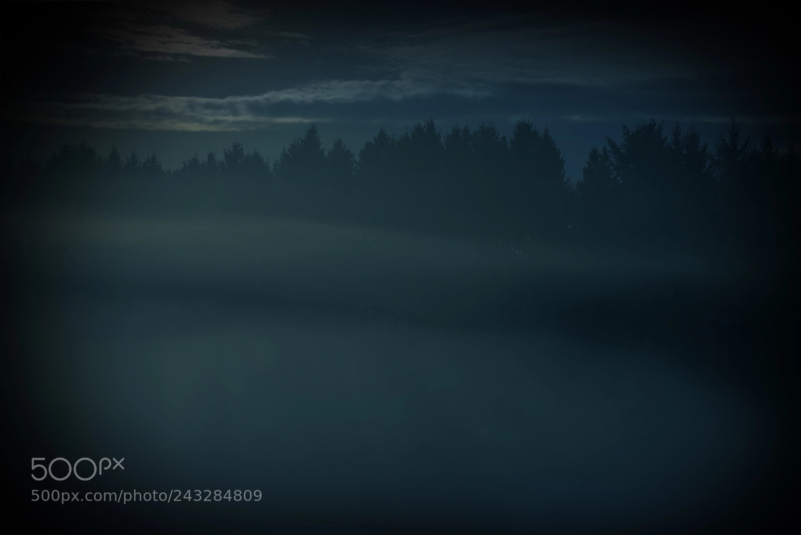 Nikon D800 sample photo. Chienetloup photography