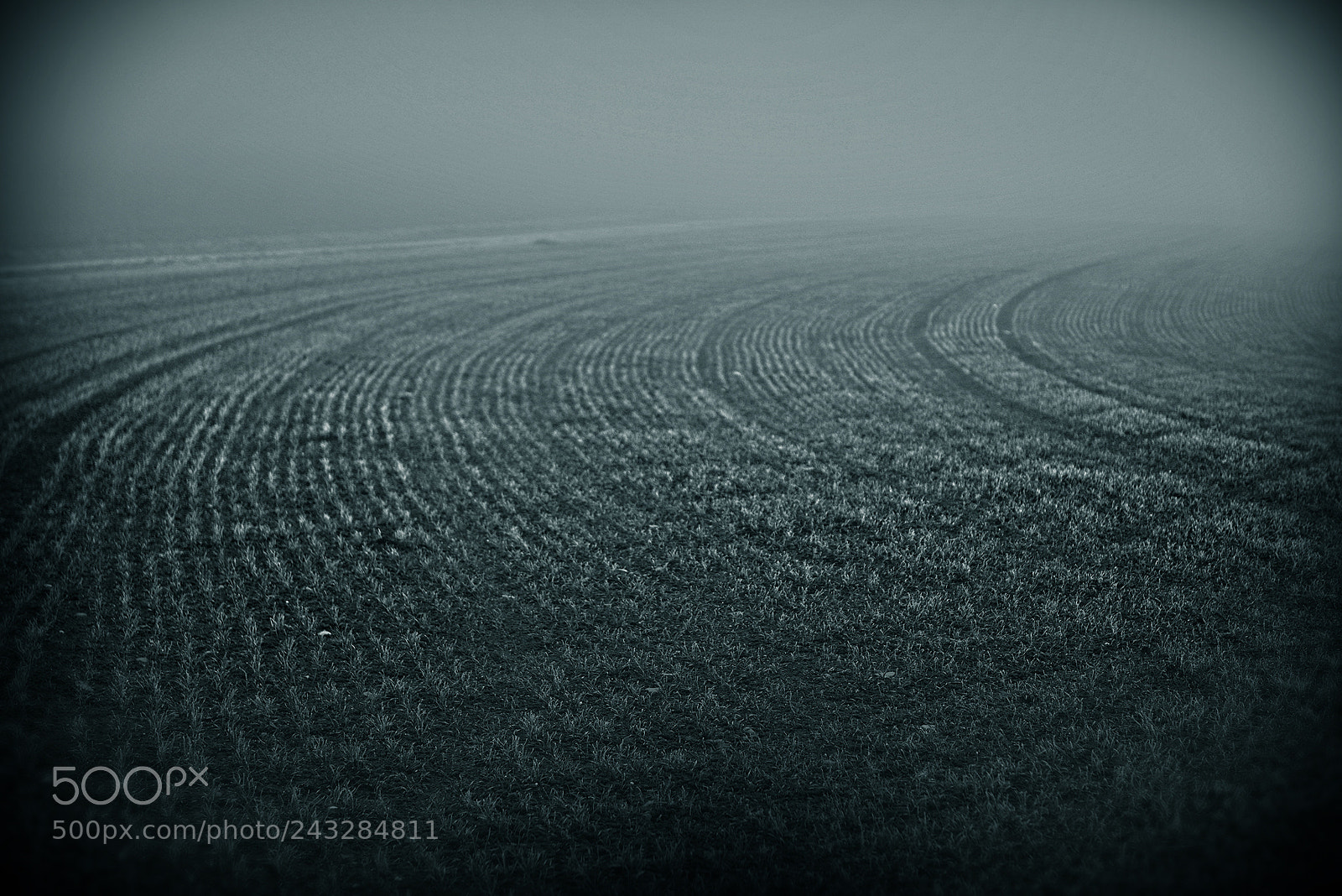 Nikon D800 sample photo. Field photography