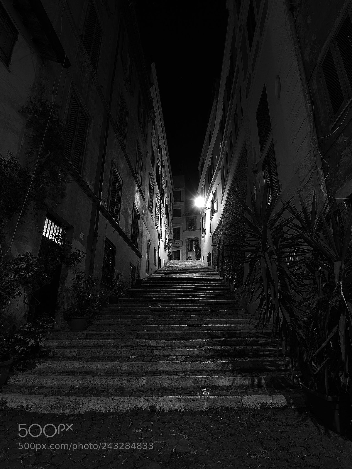 Olympus OM-D E-M1 Mark II sample photo. Flight of steps photography