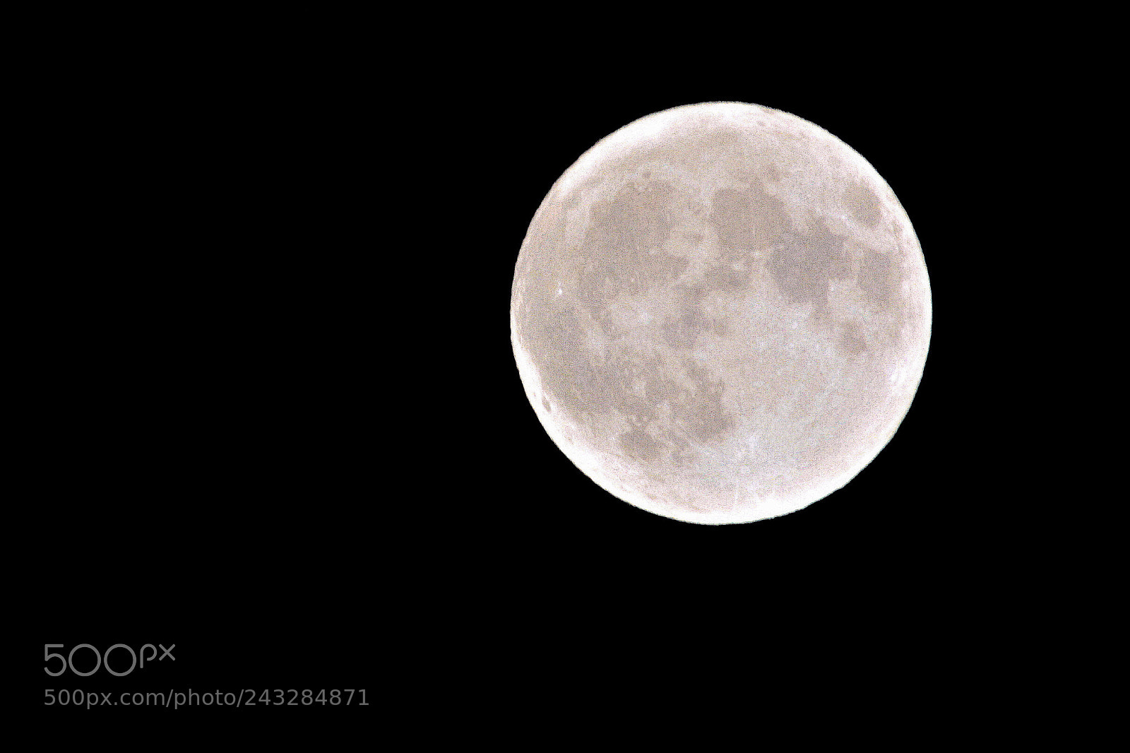 Nikon D7100 sample photo. Untitled photography