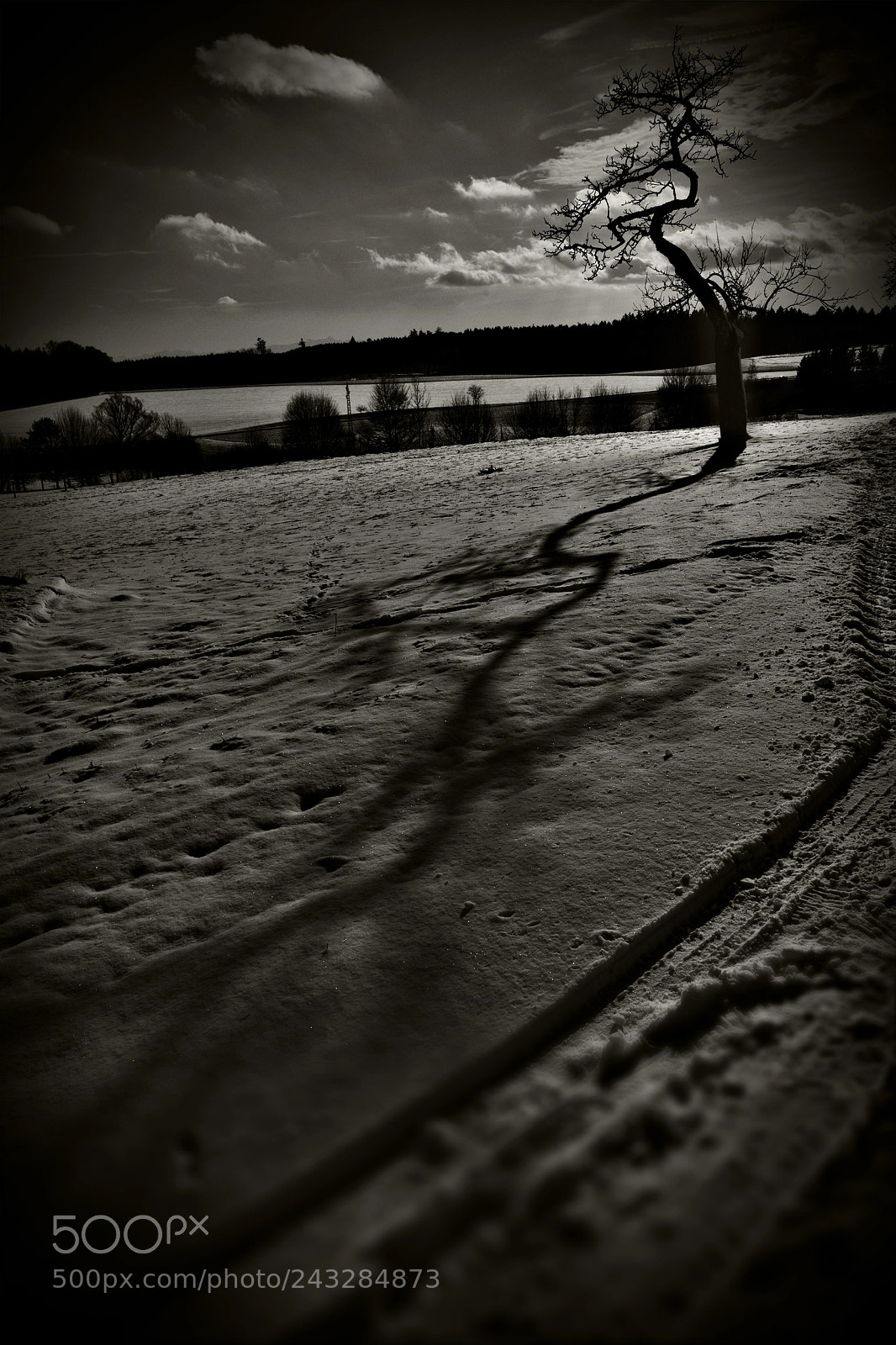 Nikon D800 sample photo. Tordu photography